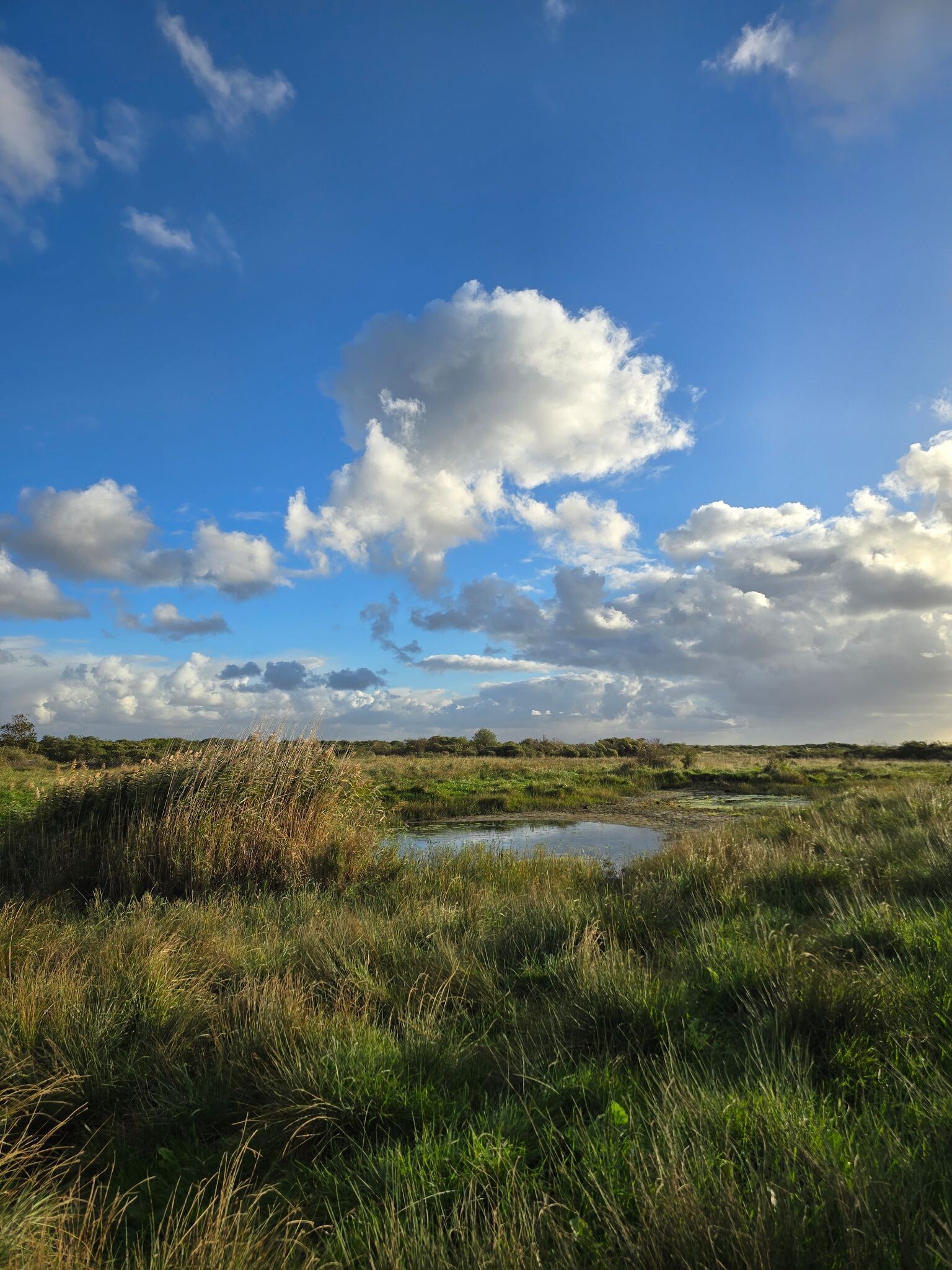 Dwalen in de Kwade Hoek van Goeree Overvlakkee