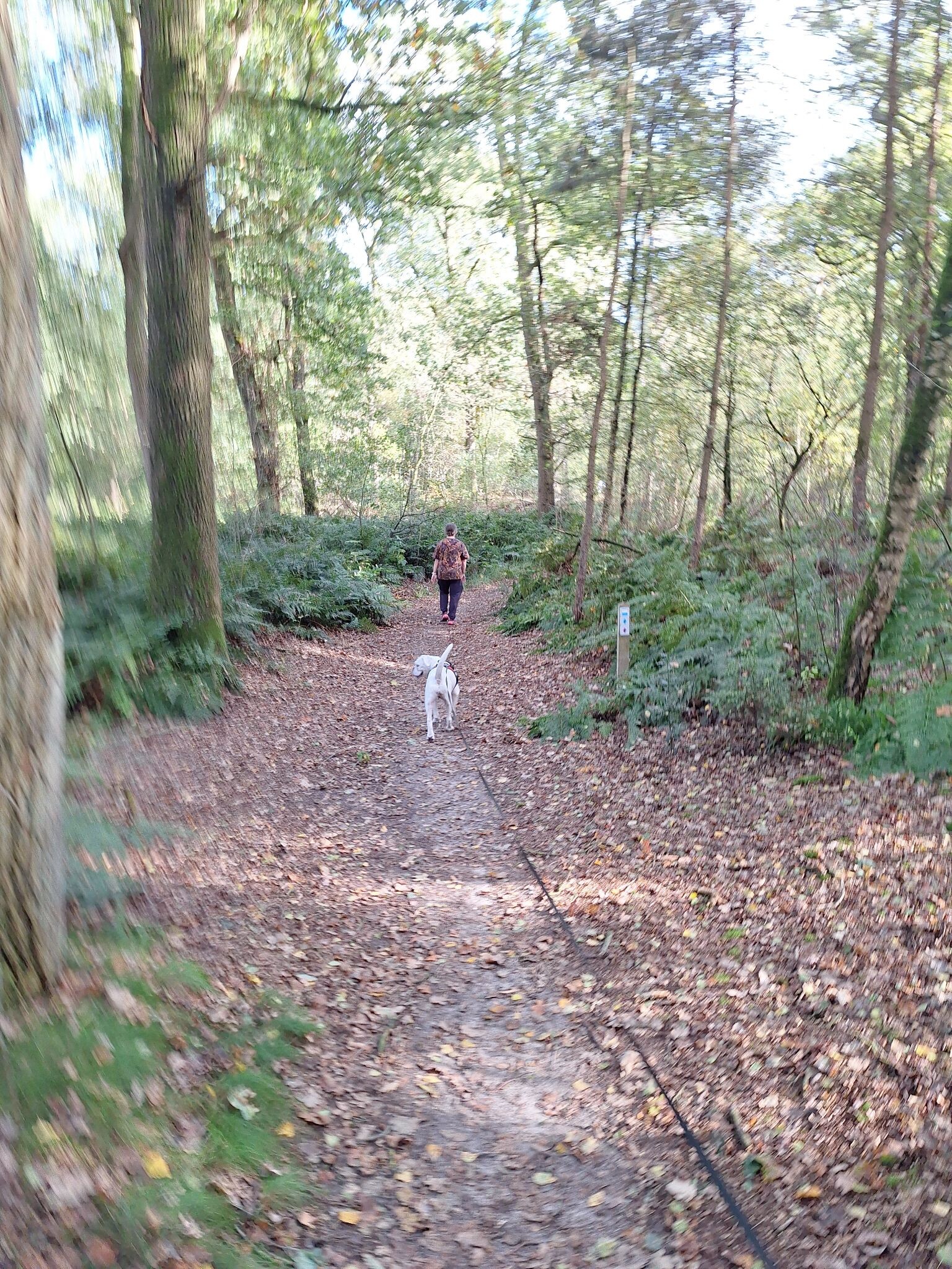 Foto van opname