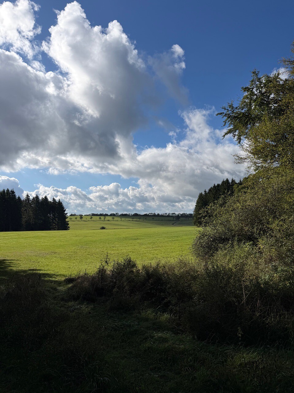 Nettersheim