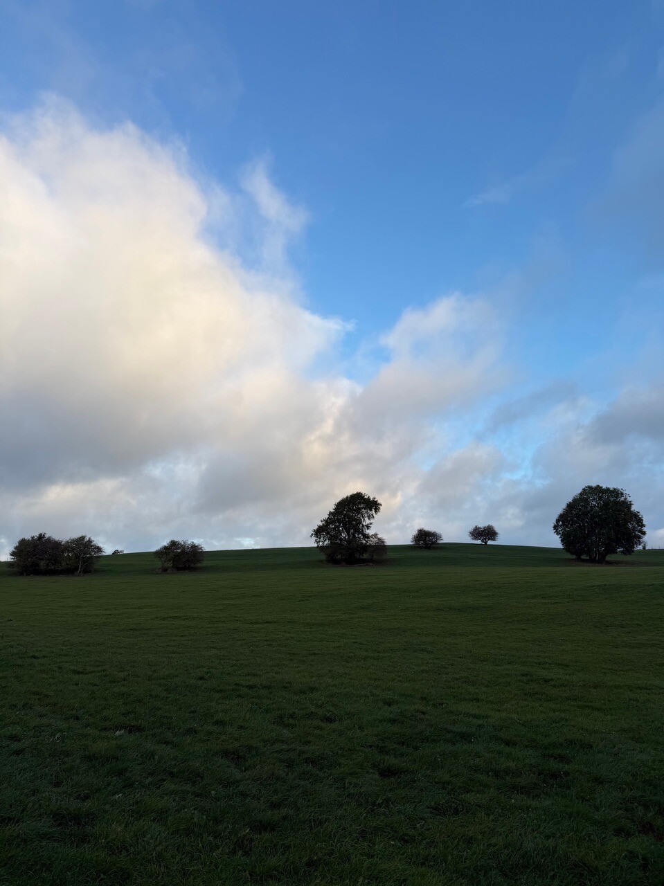 Gemünd - Steinfeld · Eifelsteig etappe 5