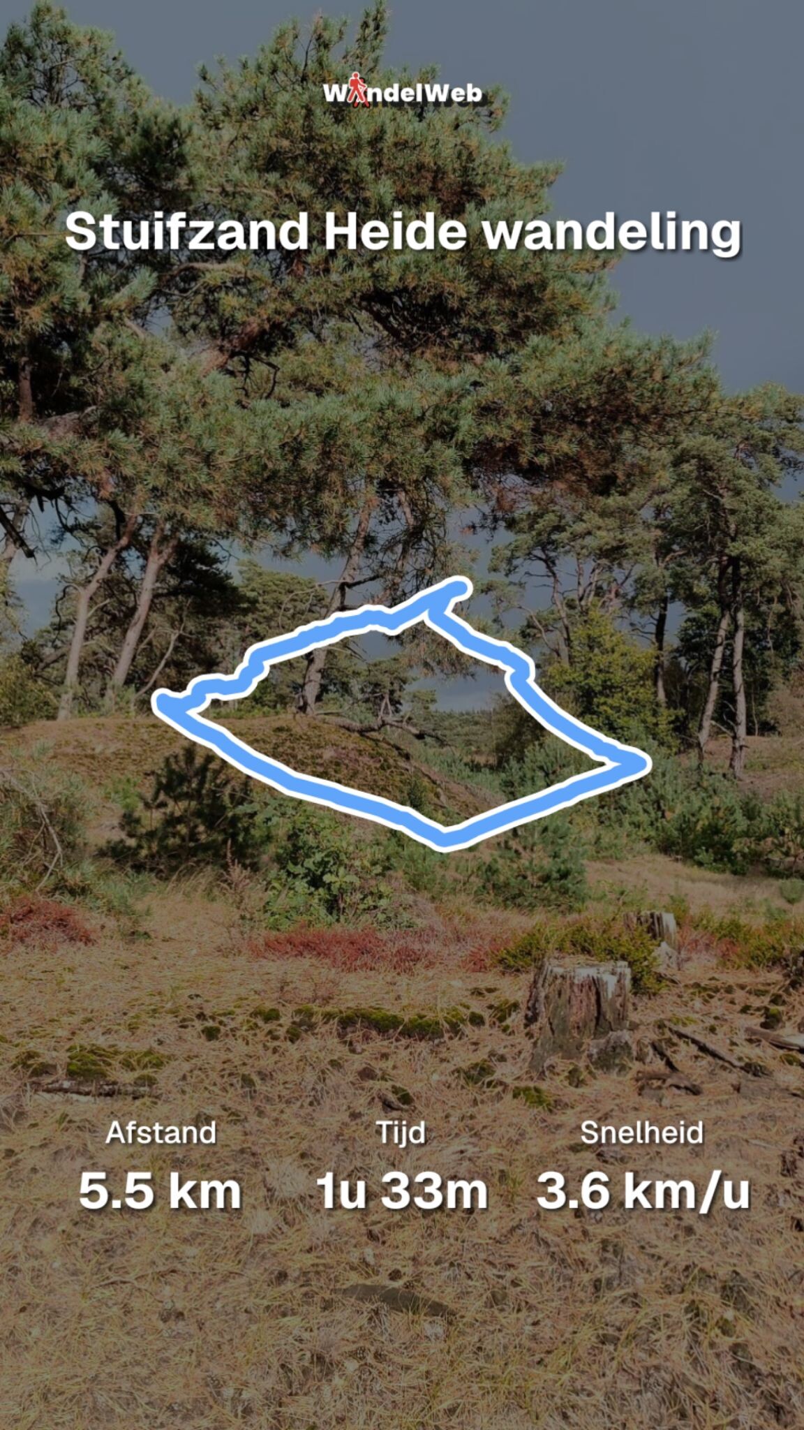Stuifzand- en heidewandeling rond het Hulshorsterzand