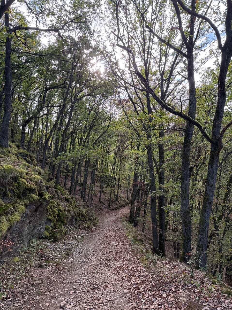 Eifelsteig