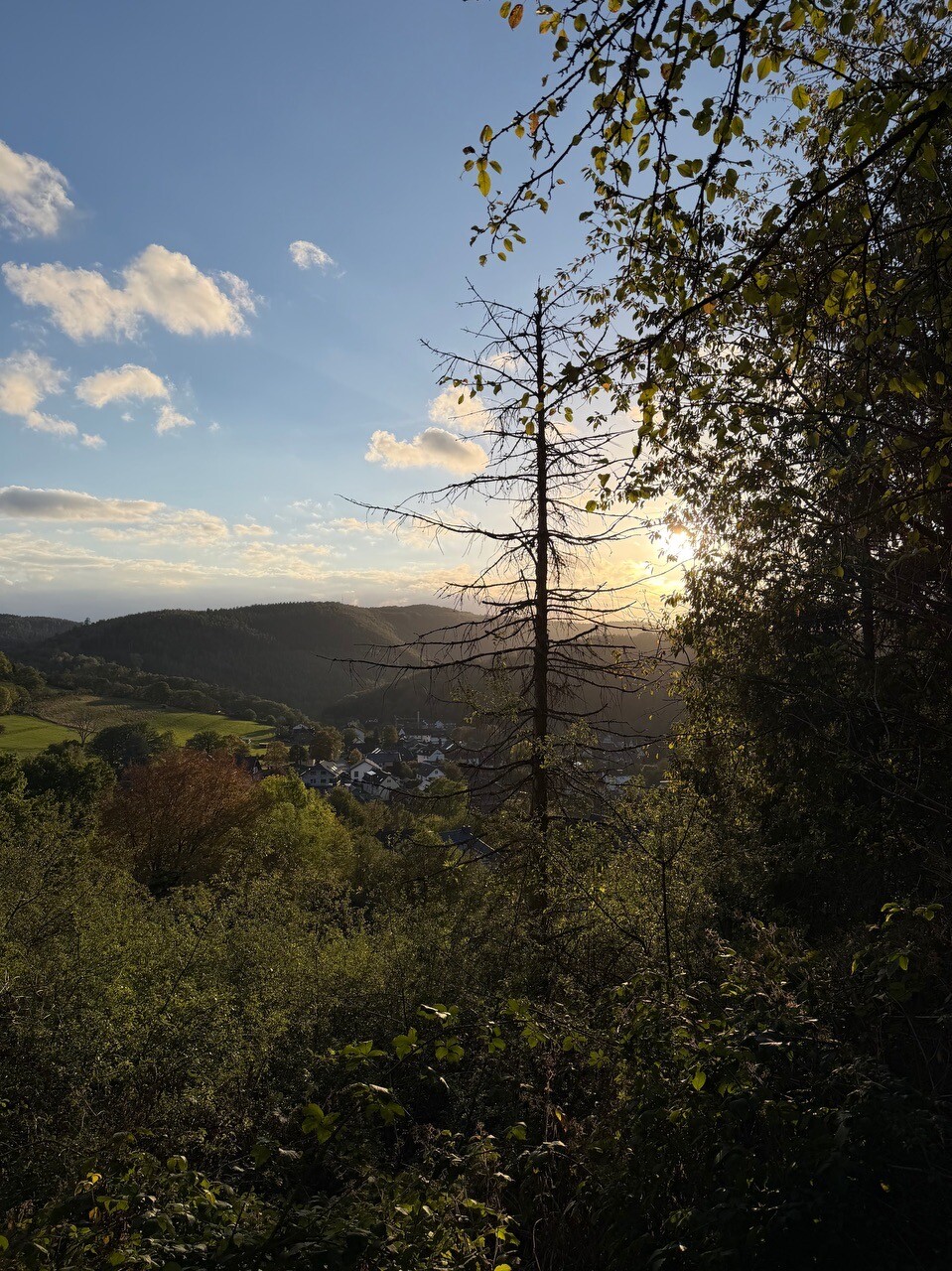 Schleiden