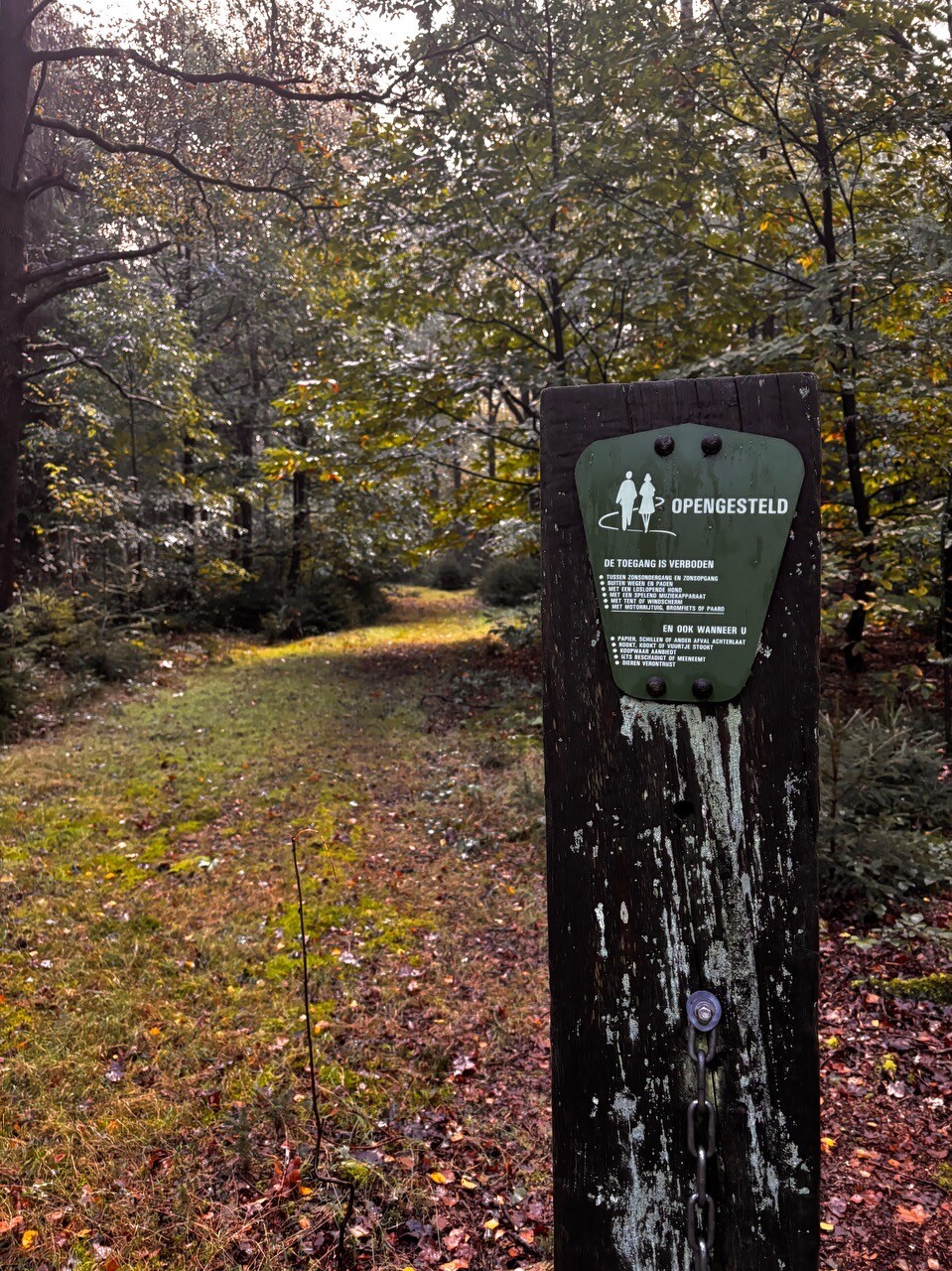 Heerlijke ochtend wandeling