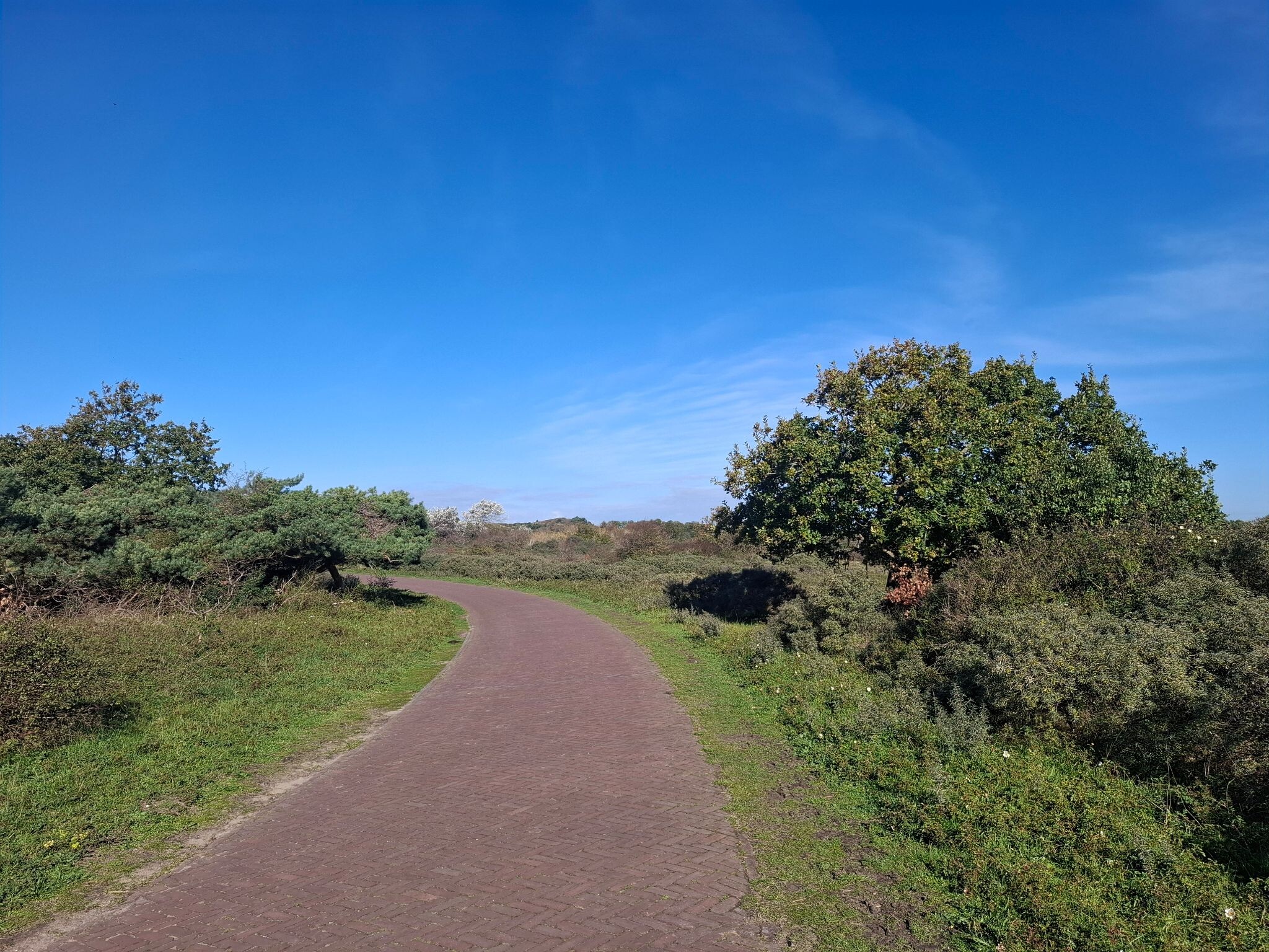 Foto van opname