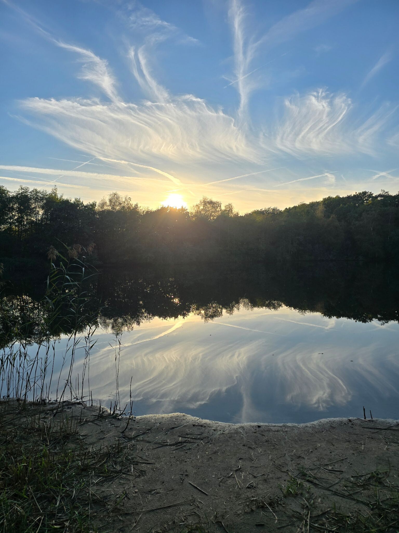Avondwandeling Ginkelse heide