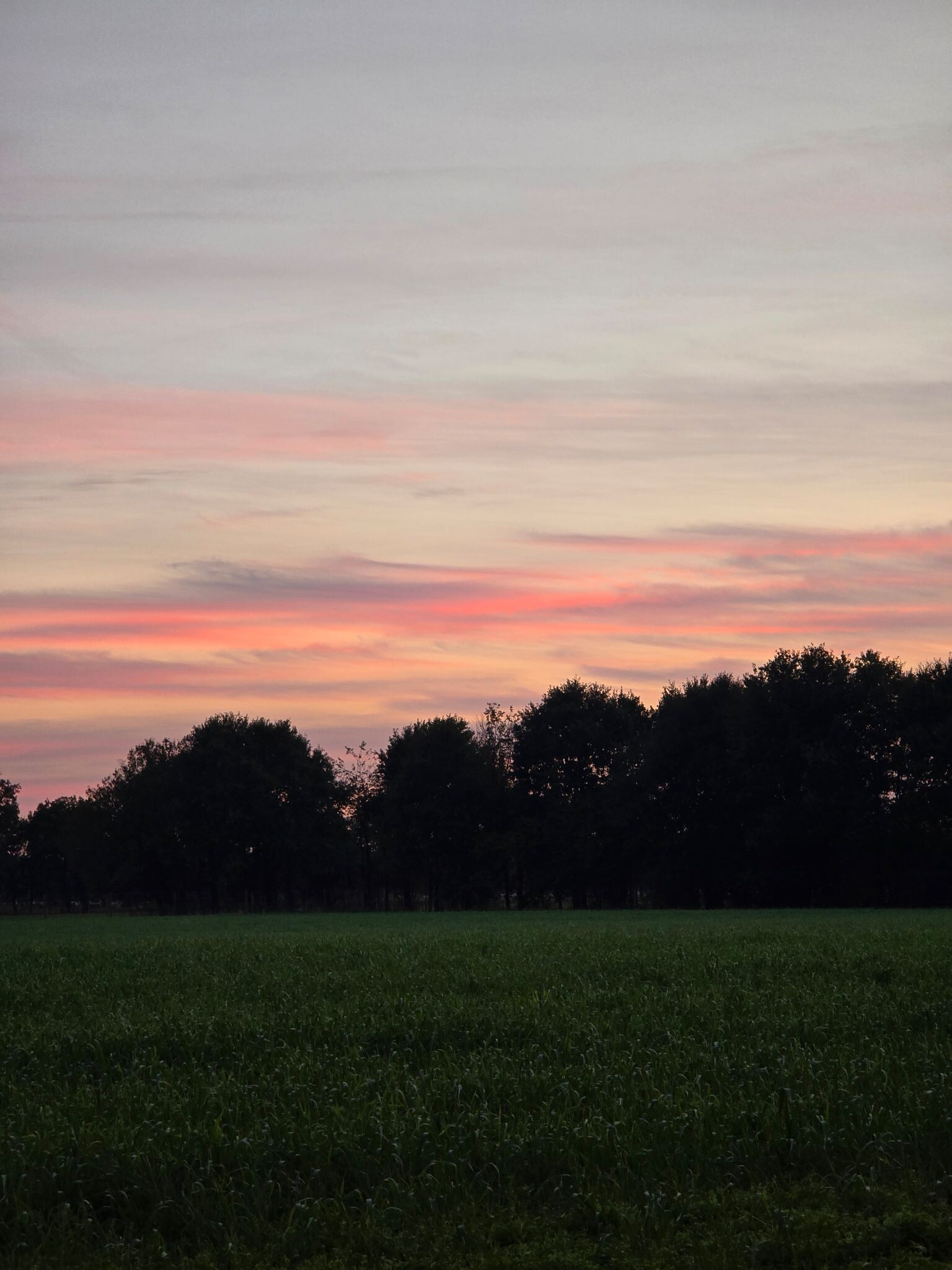 Avondwandeling Ginkelse heide