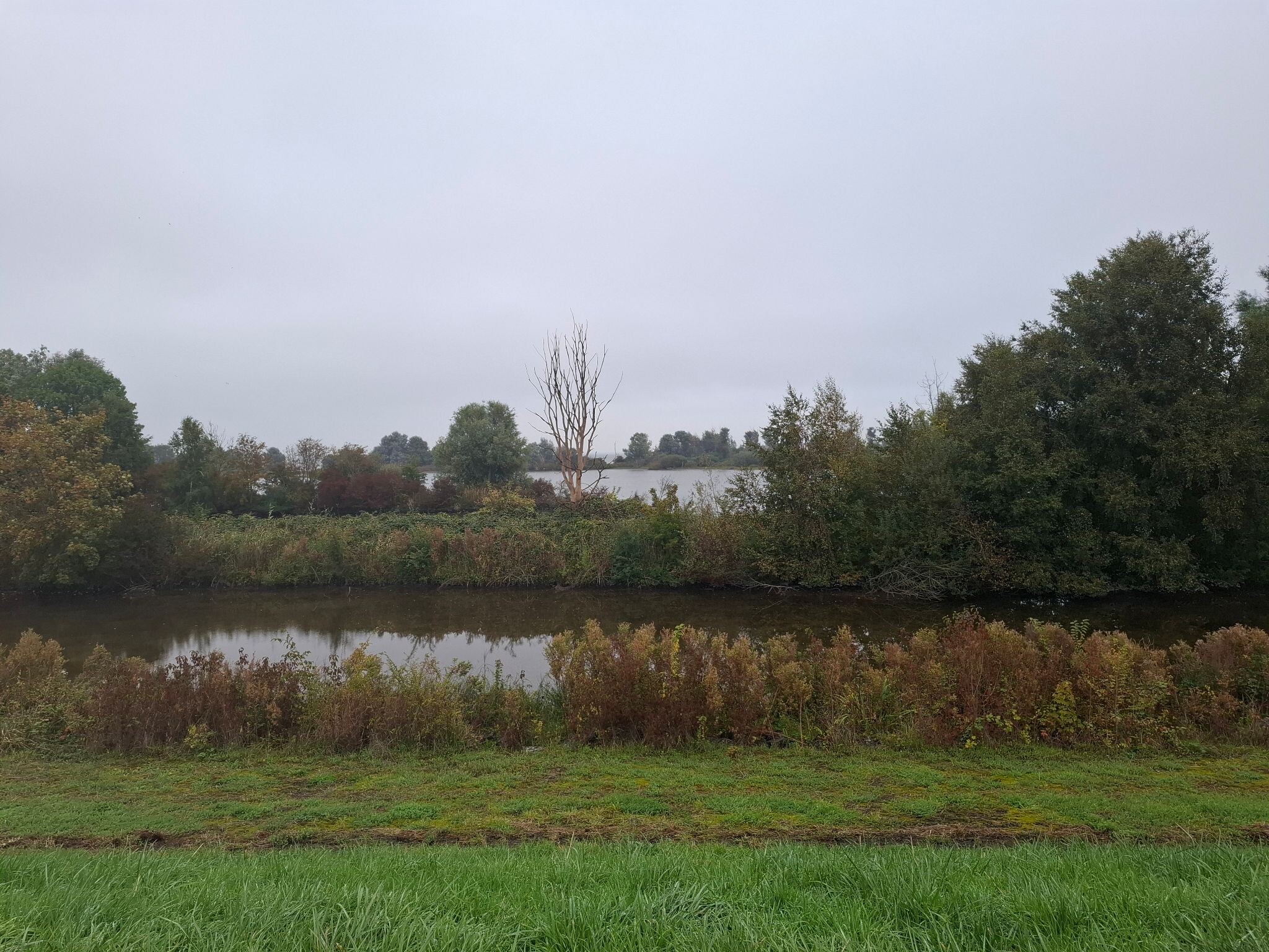 Foto van opname