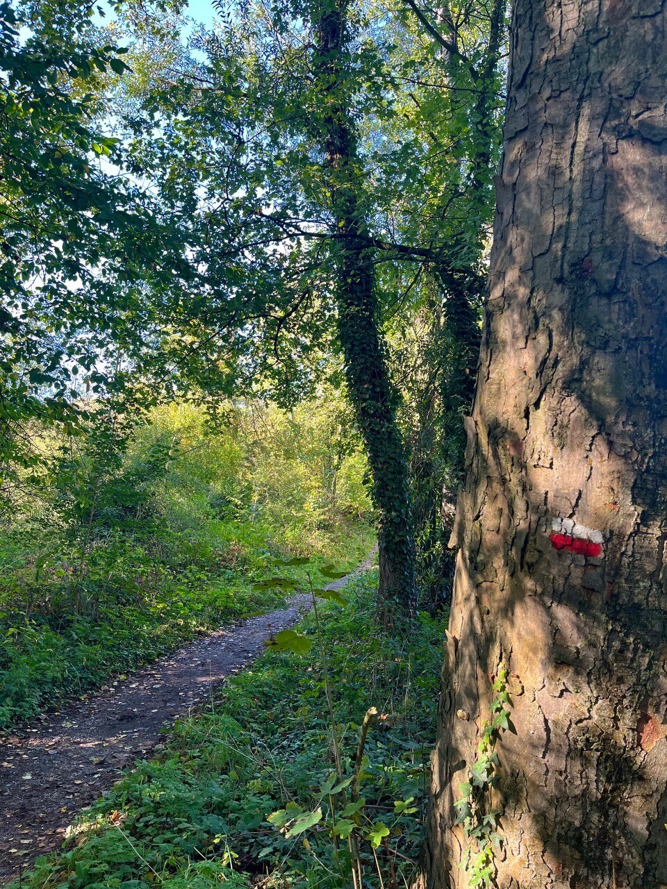 Duivelsberg- en Duffeltroute