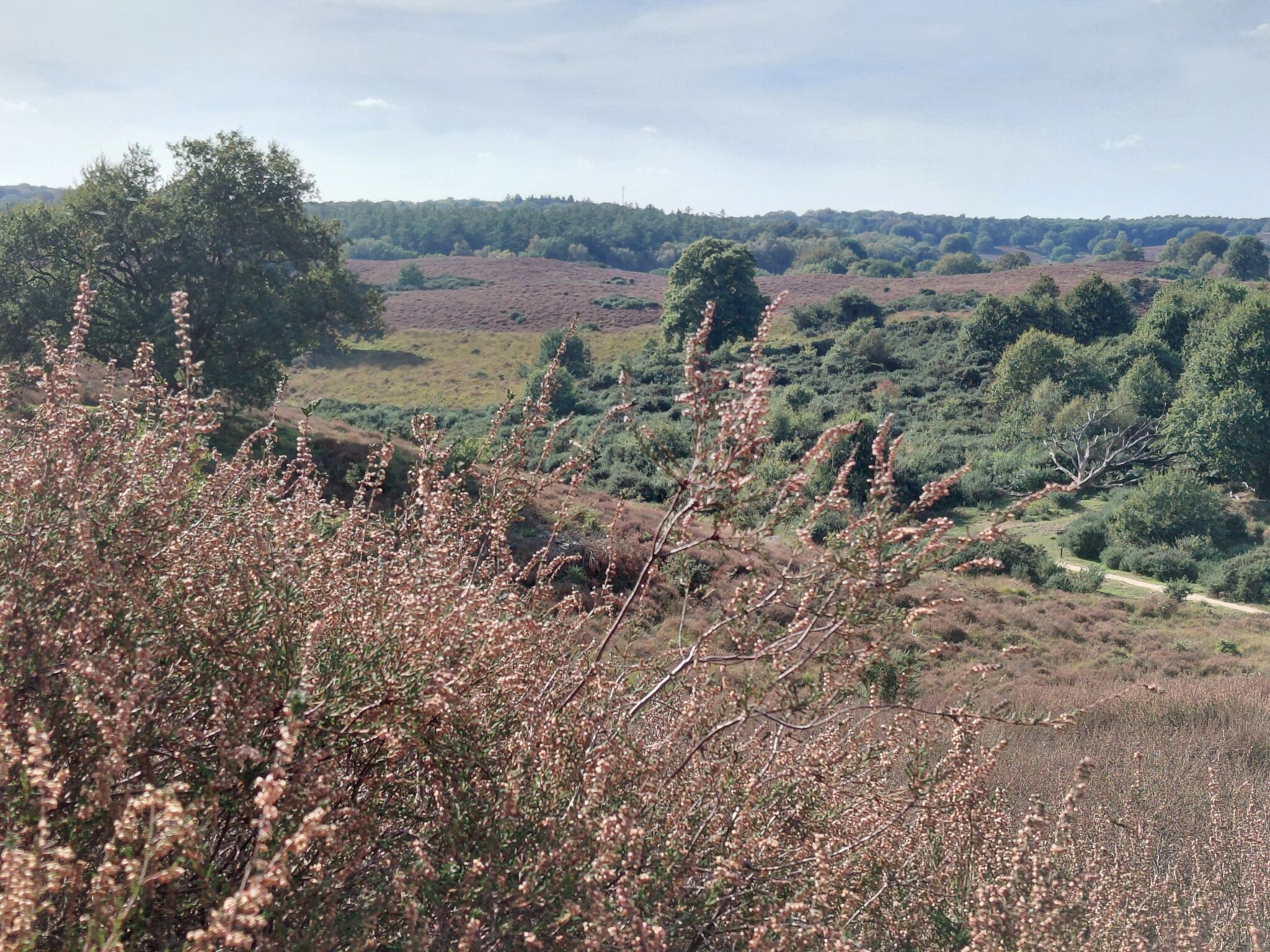 Dieren - Rheden · Veluwe Zwerfpad etappe 17