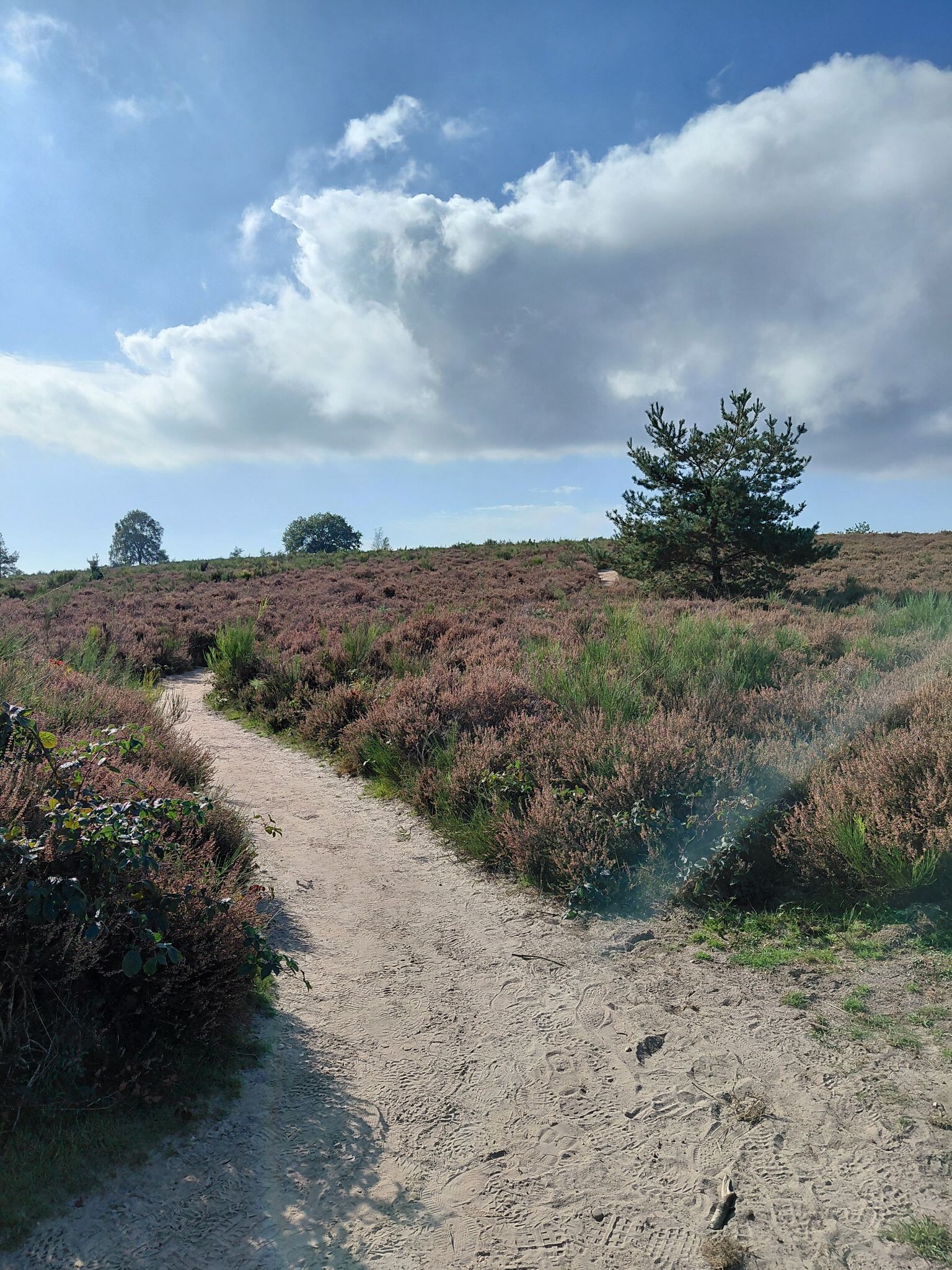 Rheden - Rozendaal · Veluwe Zwerfpad etappe 18