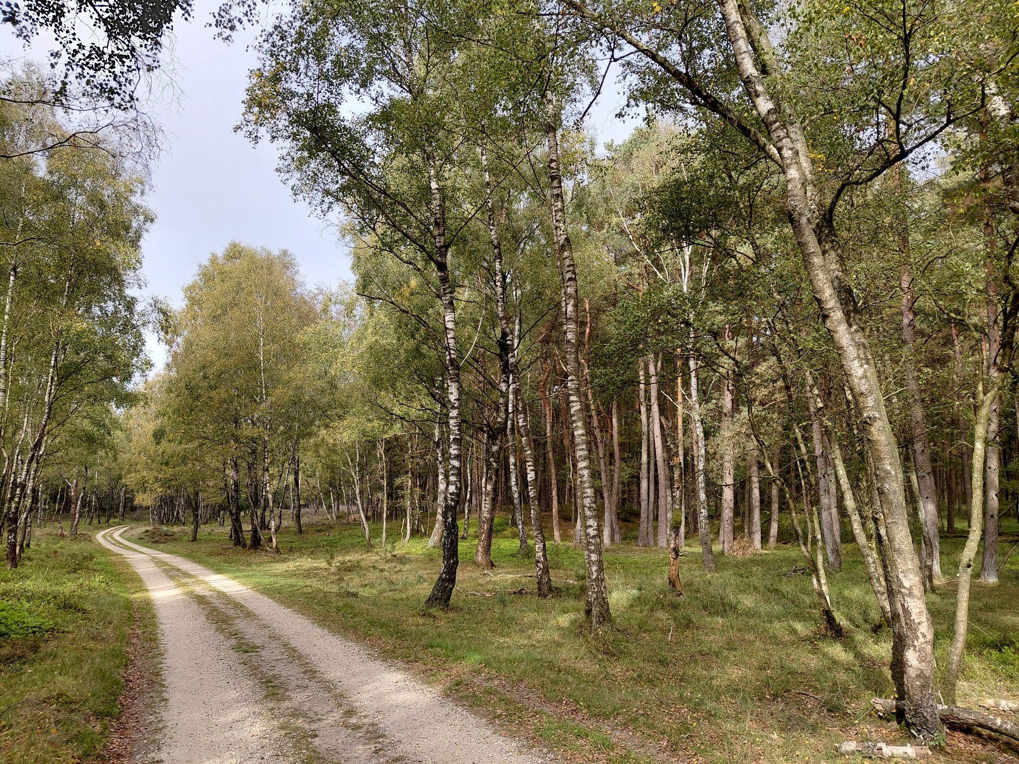 Rheden - Rozendaal · Veluwe Zwerfpad etappe 18