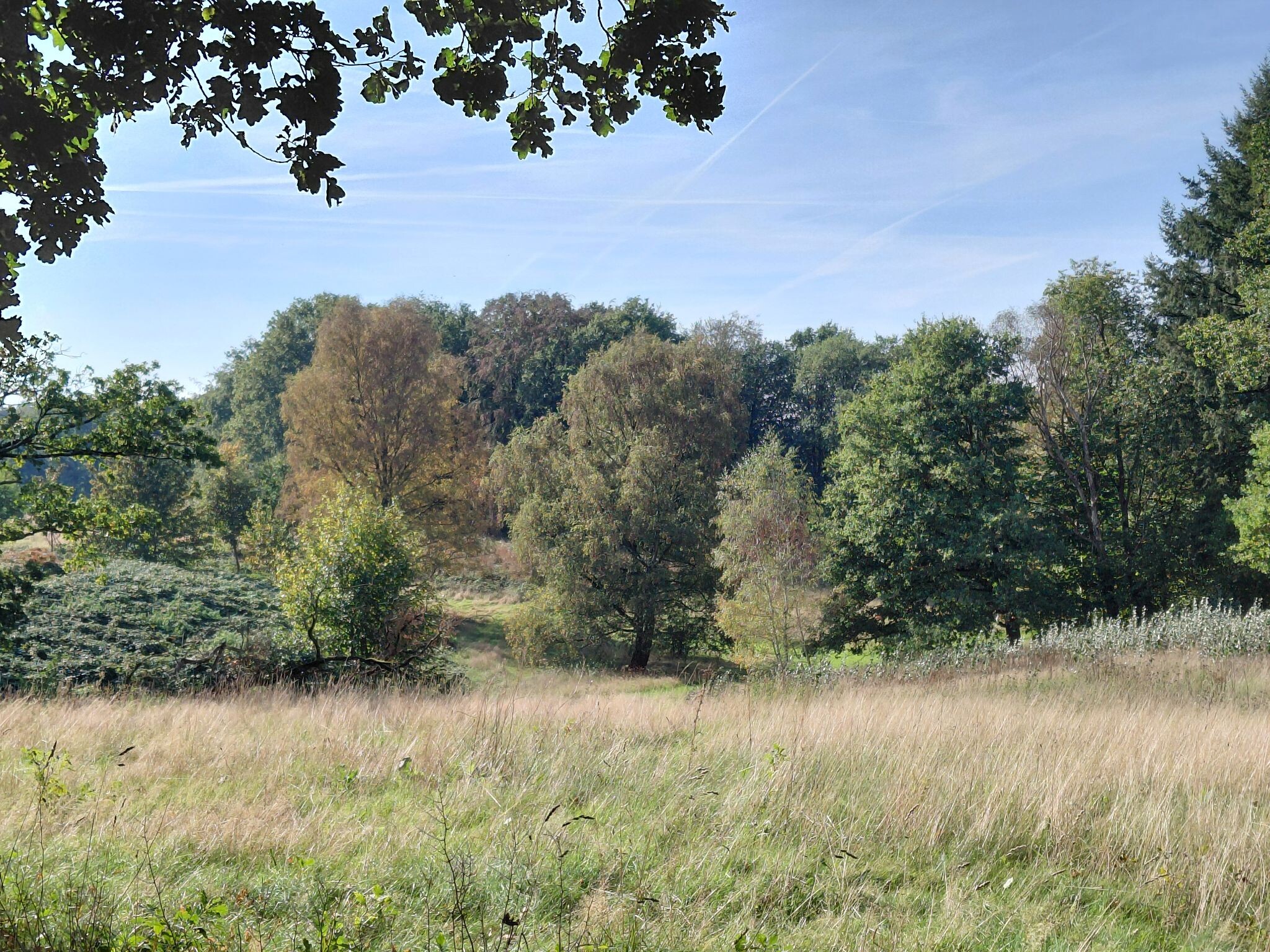 Arnhem
