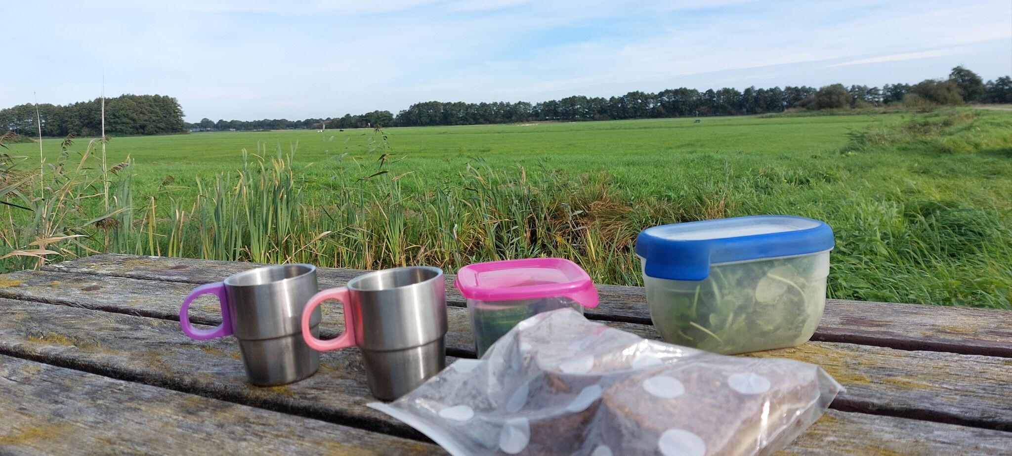 Staphorst
