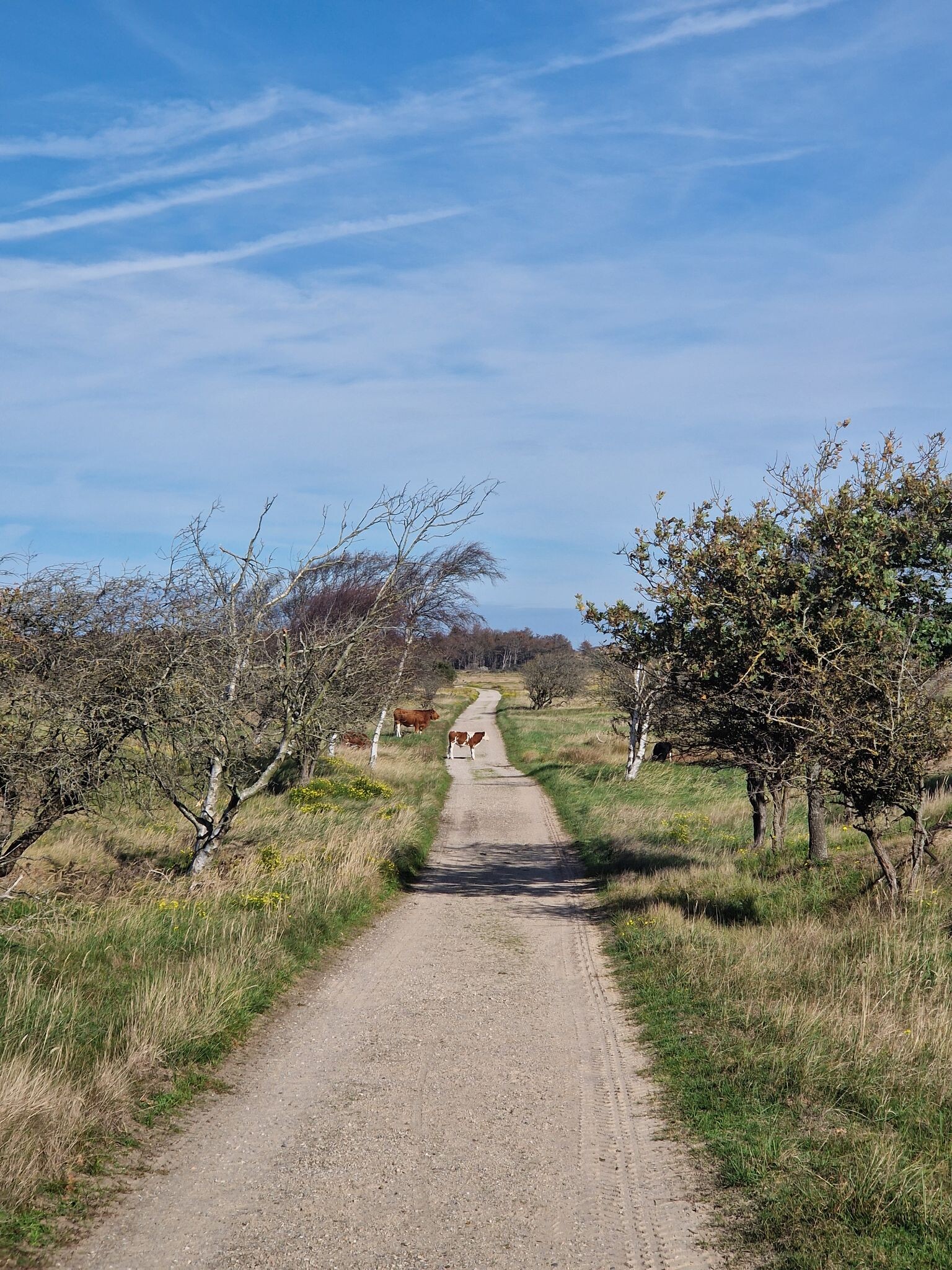 Noordwijk