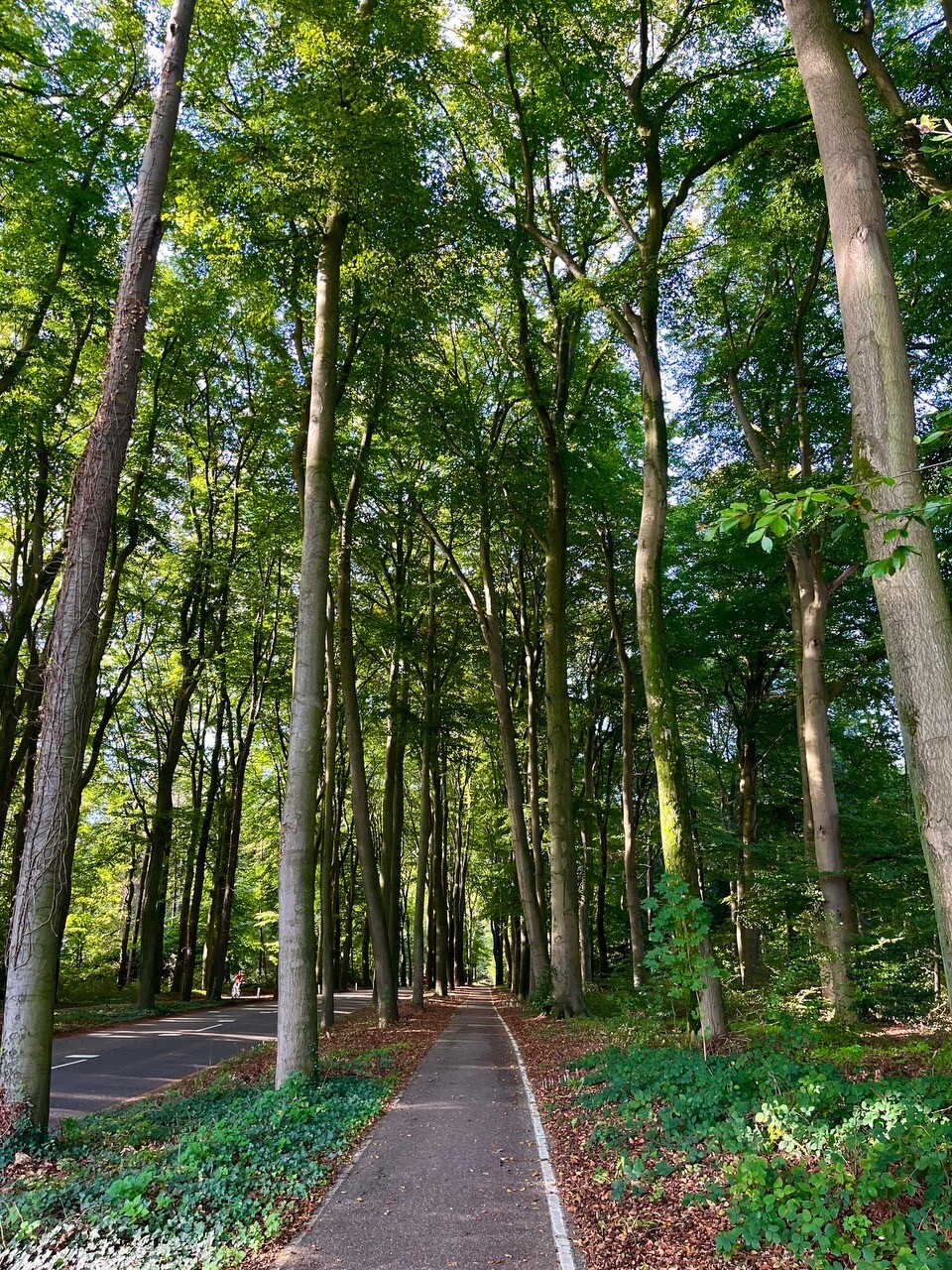 Vierdaagse: De dag van Groesbeek