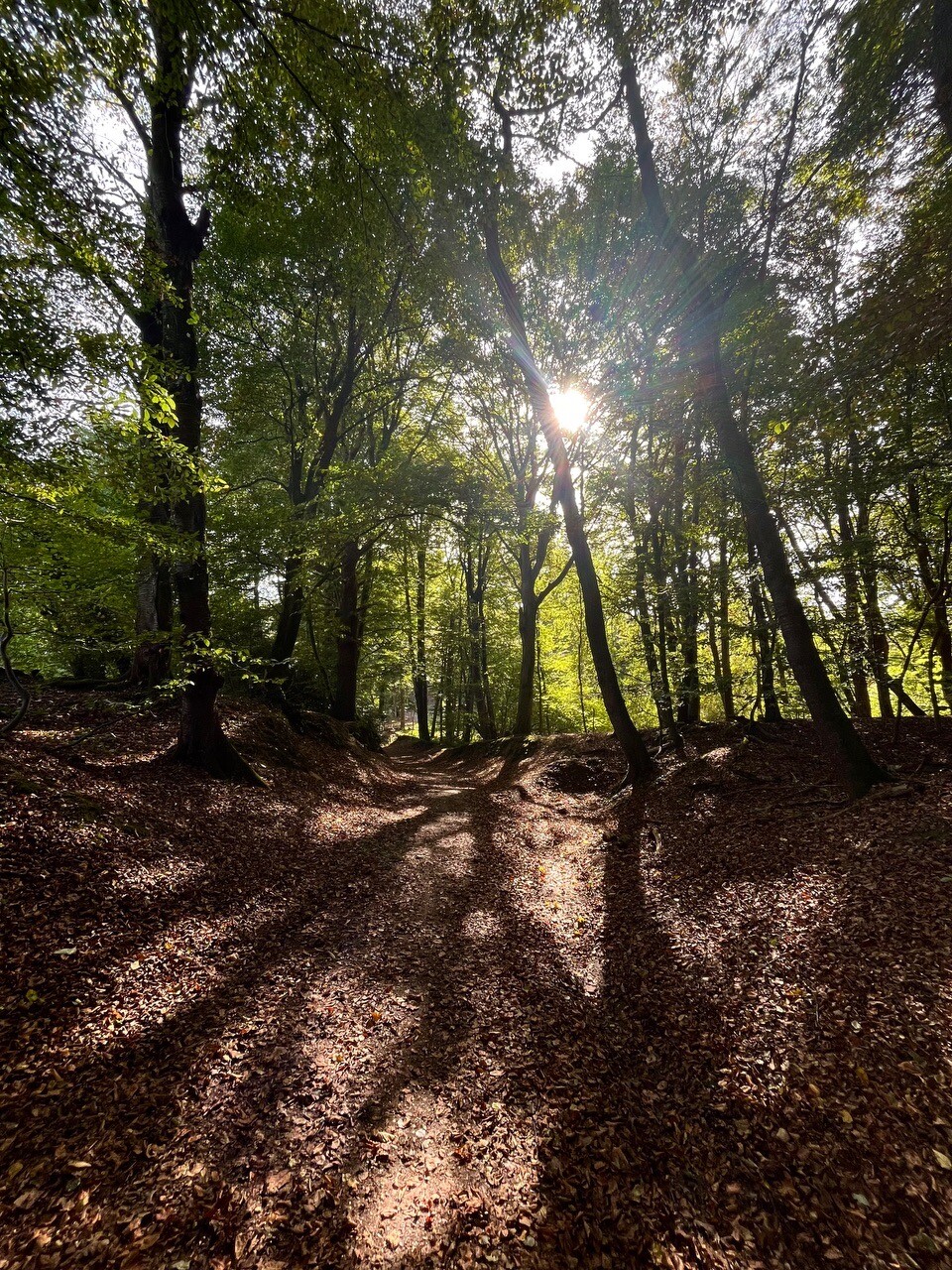 OV-stapper Mookerheide Dag 1