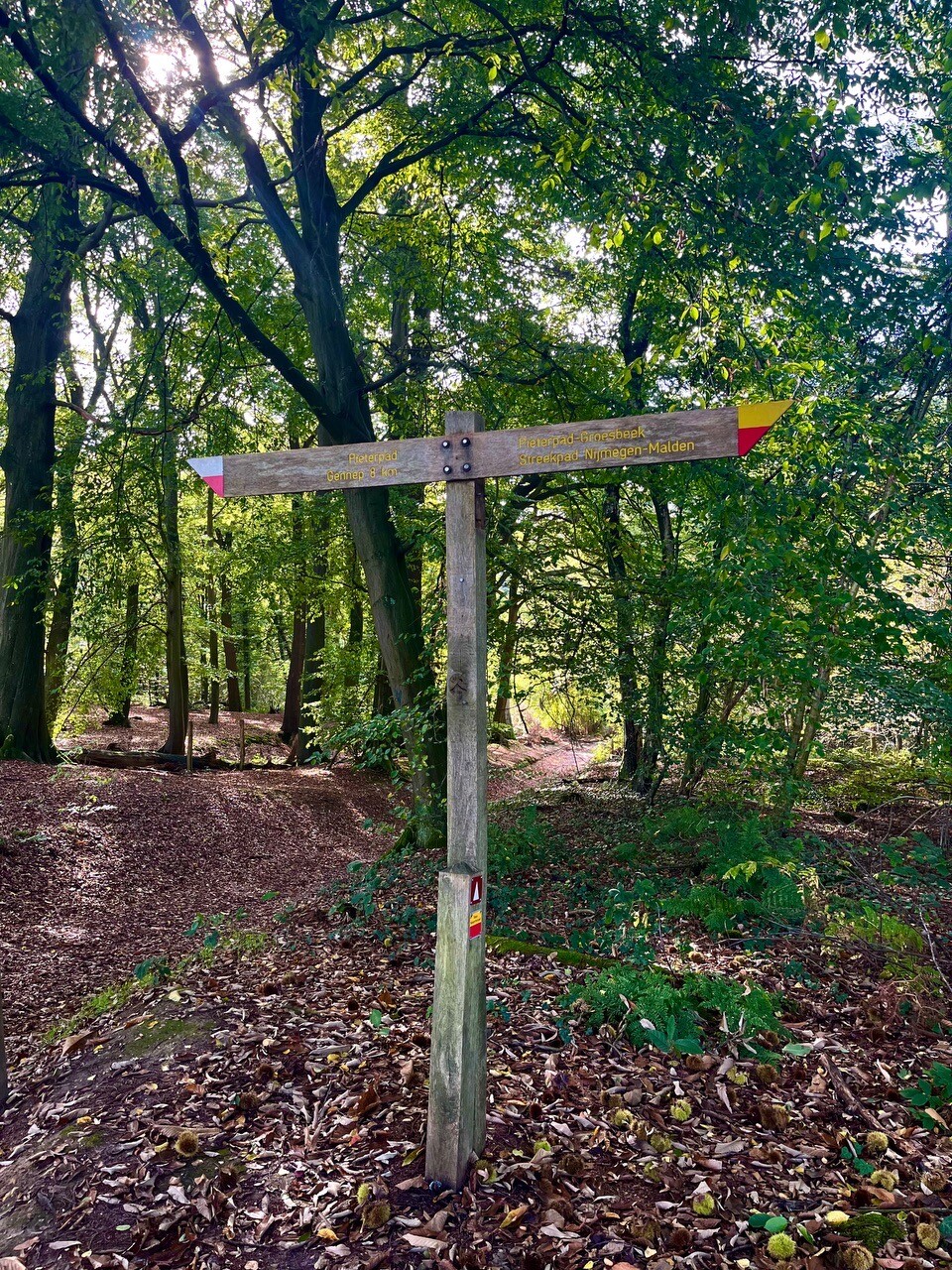 Plasmolen - Wyler · Streekpad Nijmegen etappe 6