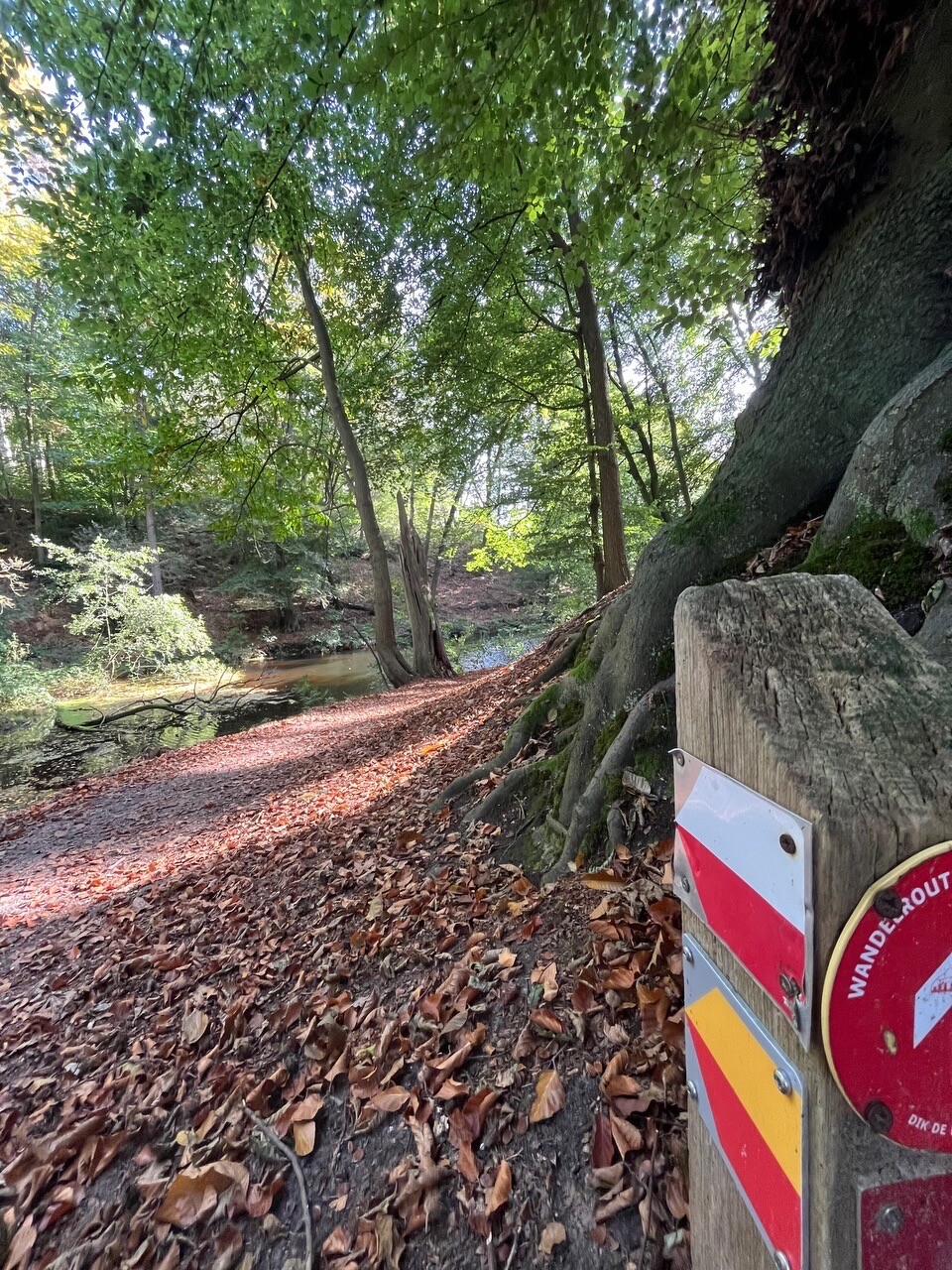 Milsbeek - Ottersum (via Mook) · Rondje Limburg etappe 9