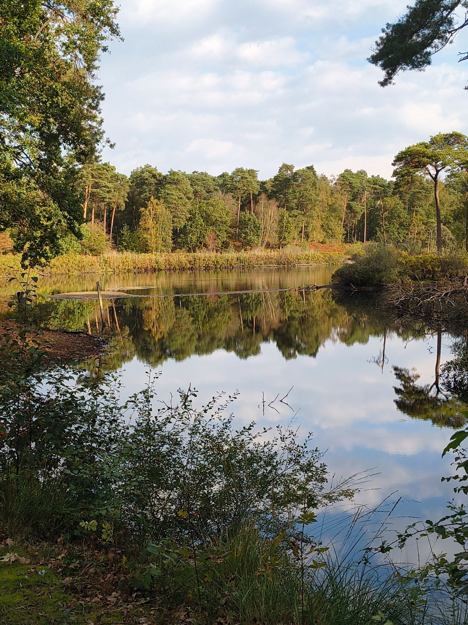 Wandelroute Groot Speijck bij Oisterwijk