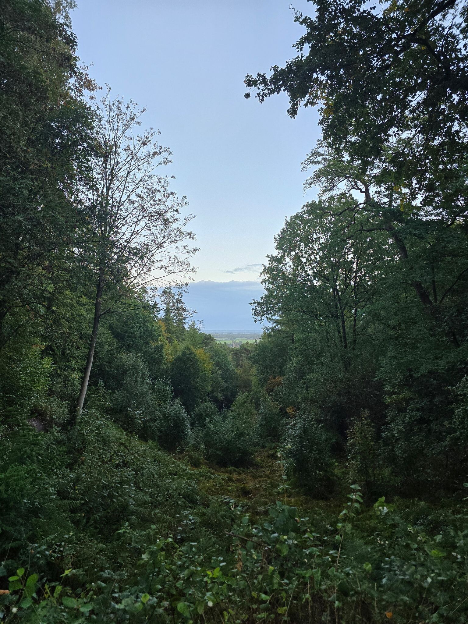 Zevenheuvelen hike / trail 28km