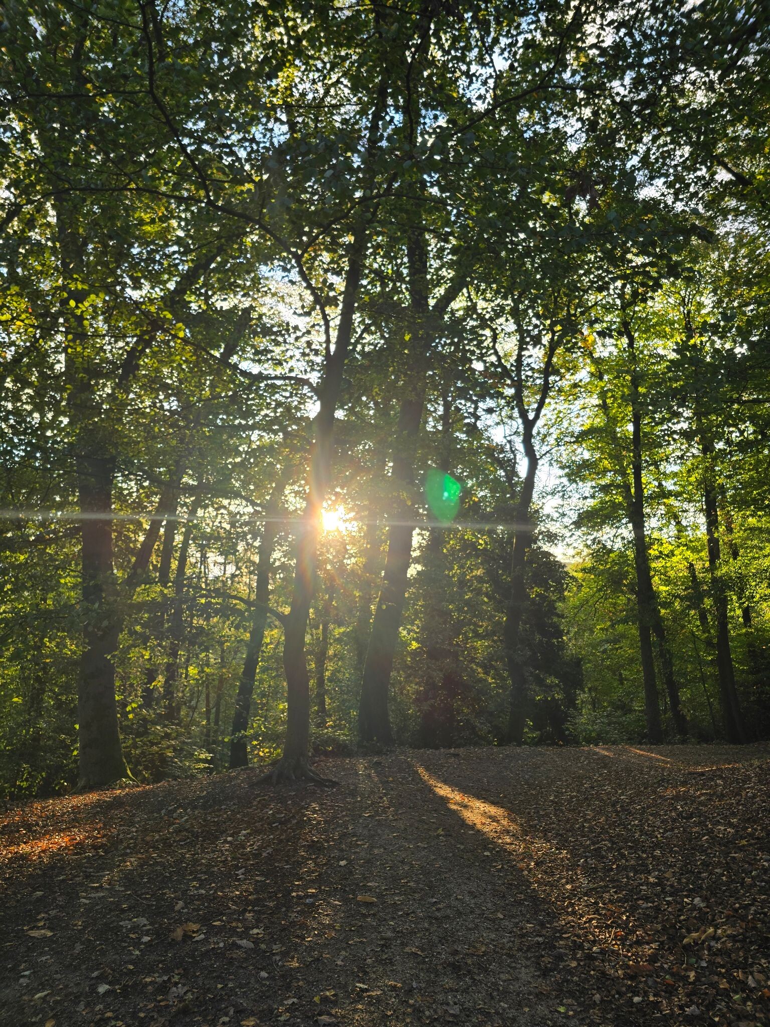 Nijmegen - Kranenburg · Grote Rivierenpad etappe 14