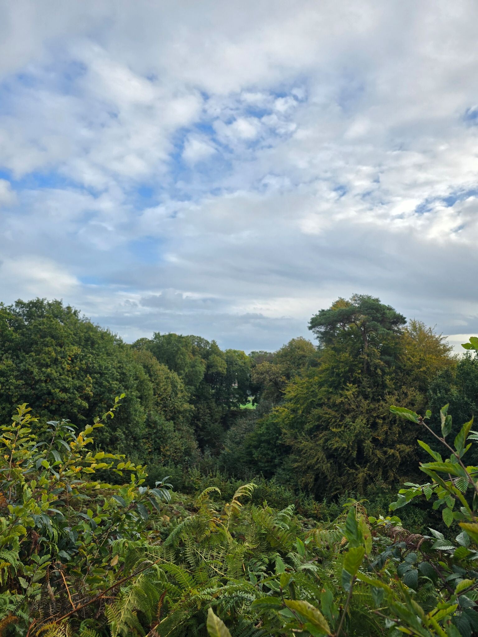 Wandelroute Duivelsberg