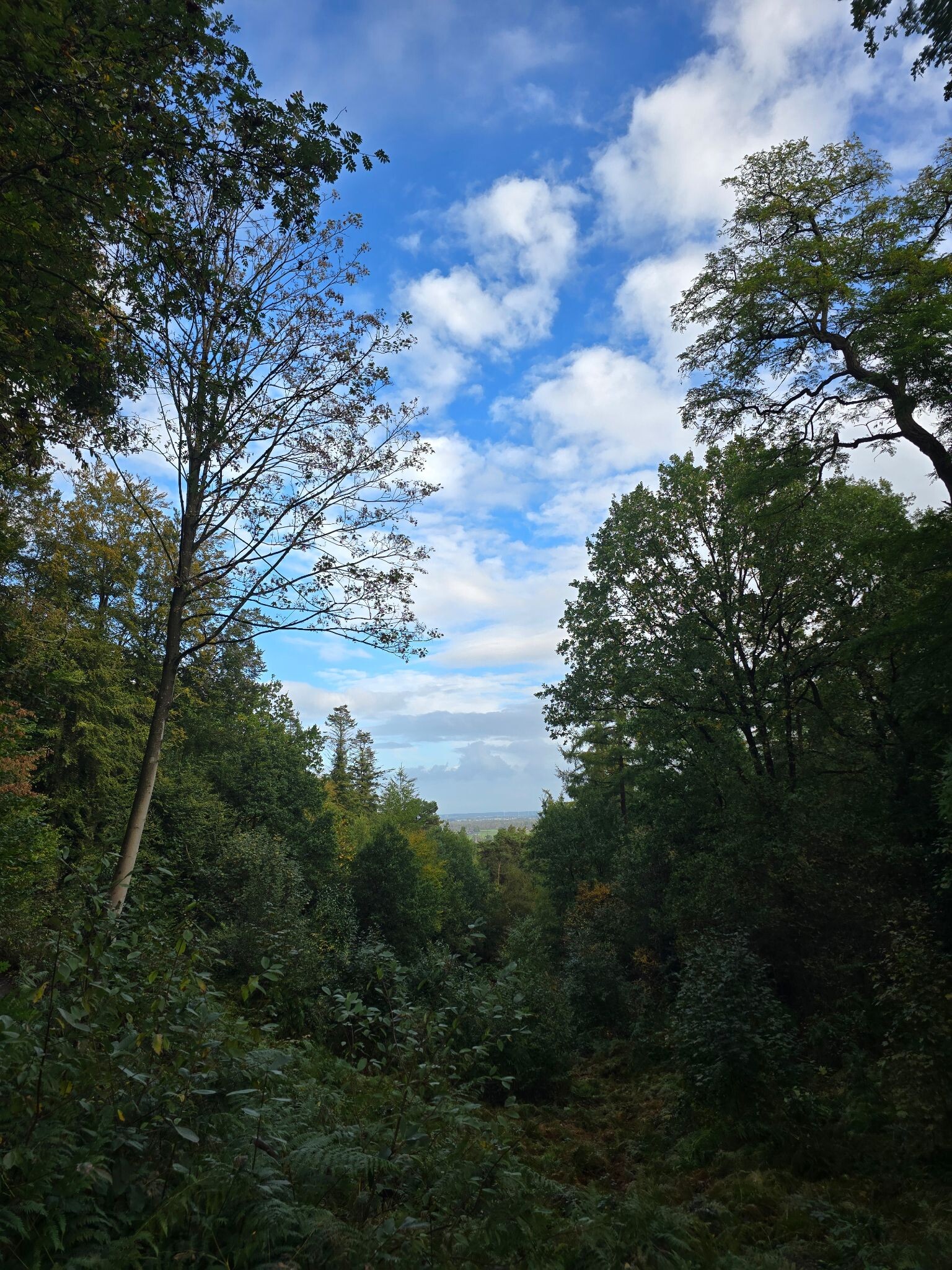Zevenheuvelen hike / trail 28km