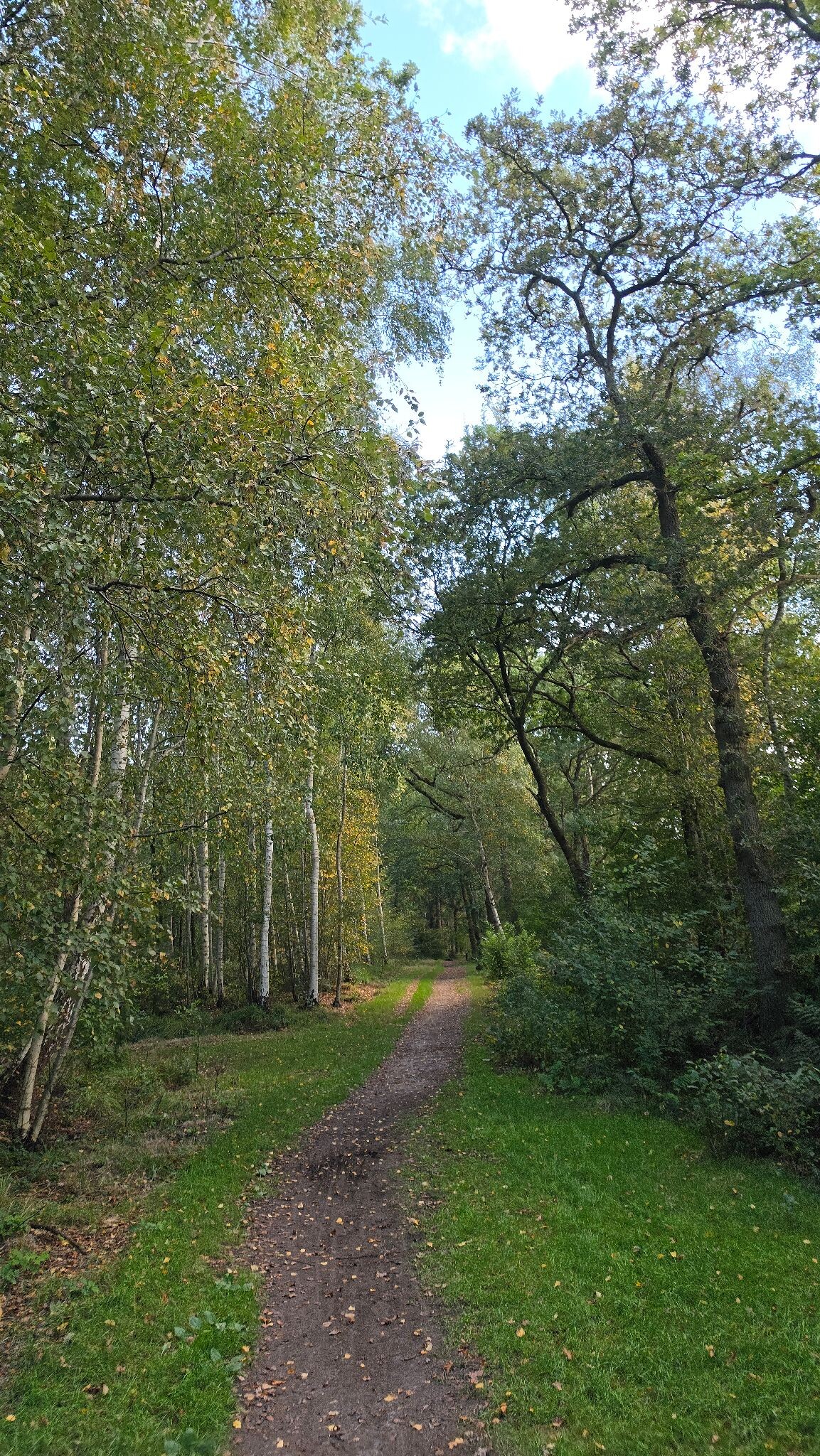 Foto van opname