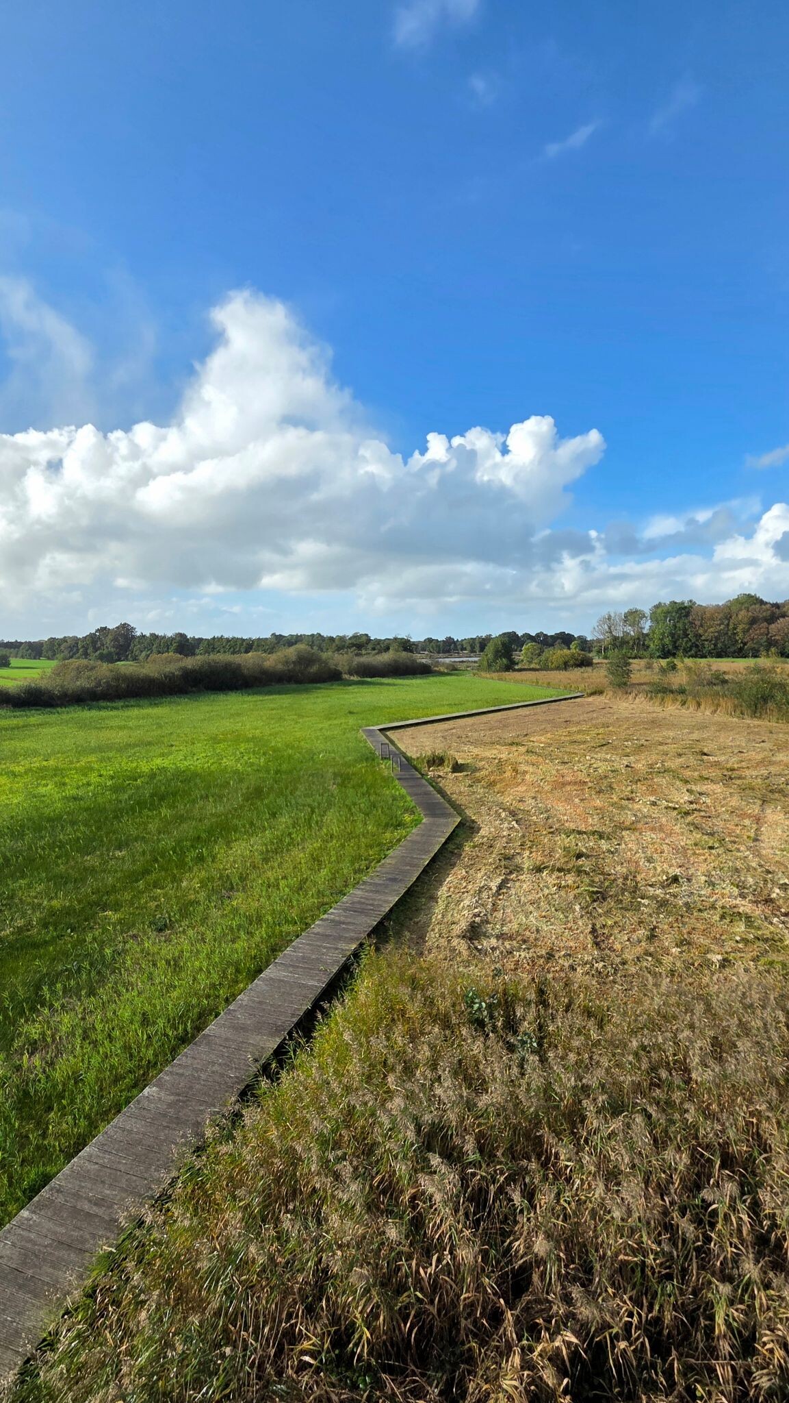 Soestpolder vlonderpad en uitkijktoren