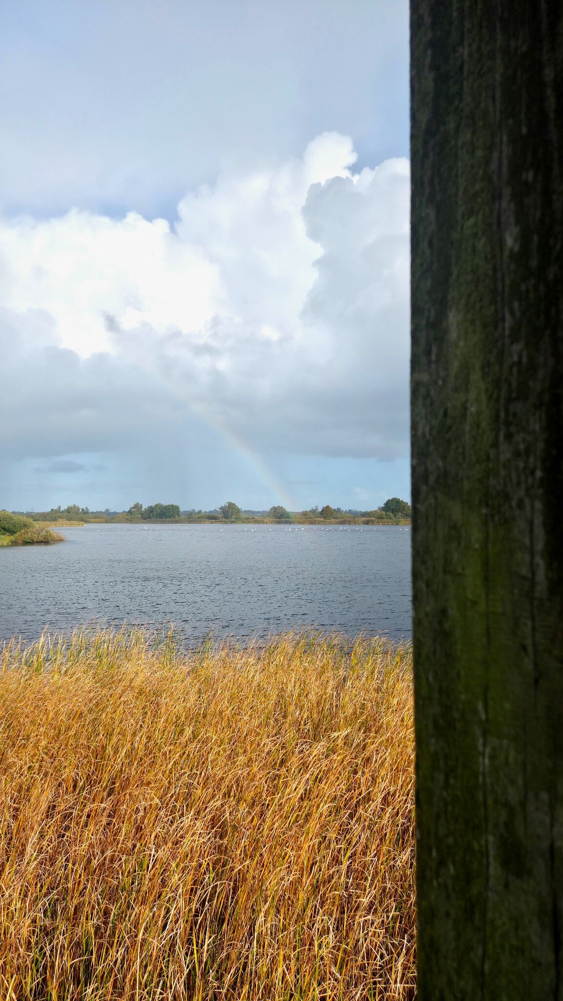 Soestpolder vlonderpad en uitkijktoren