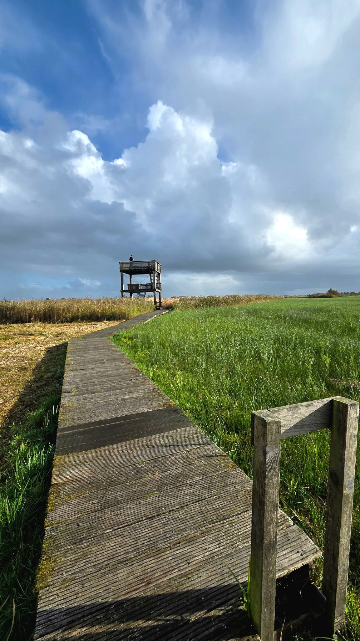 Soestpolder vlonderpad en uitkijktoren