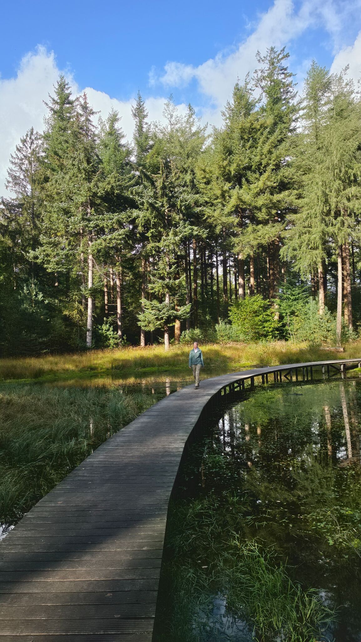 Wallebosk