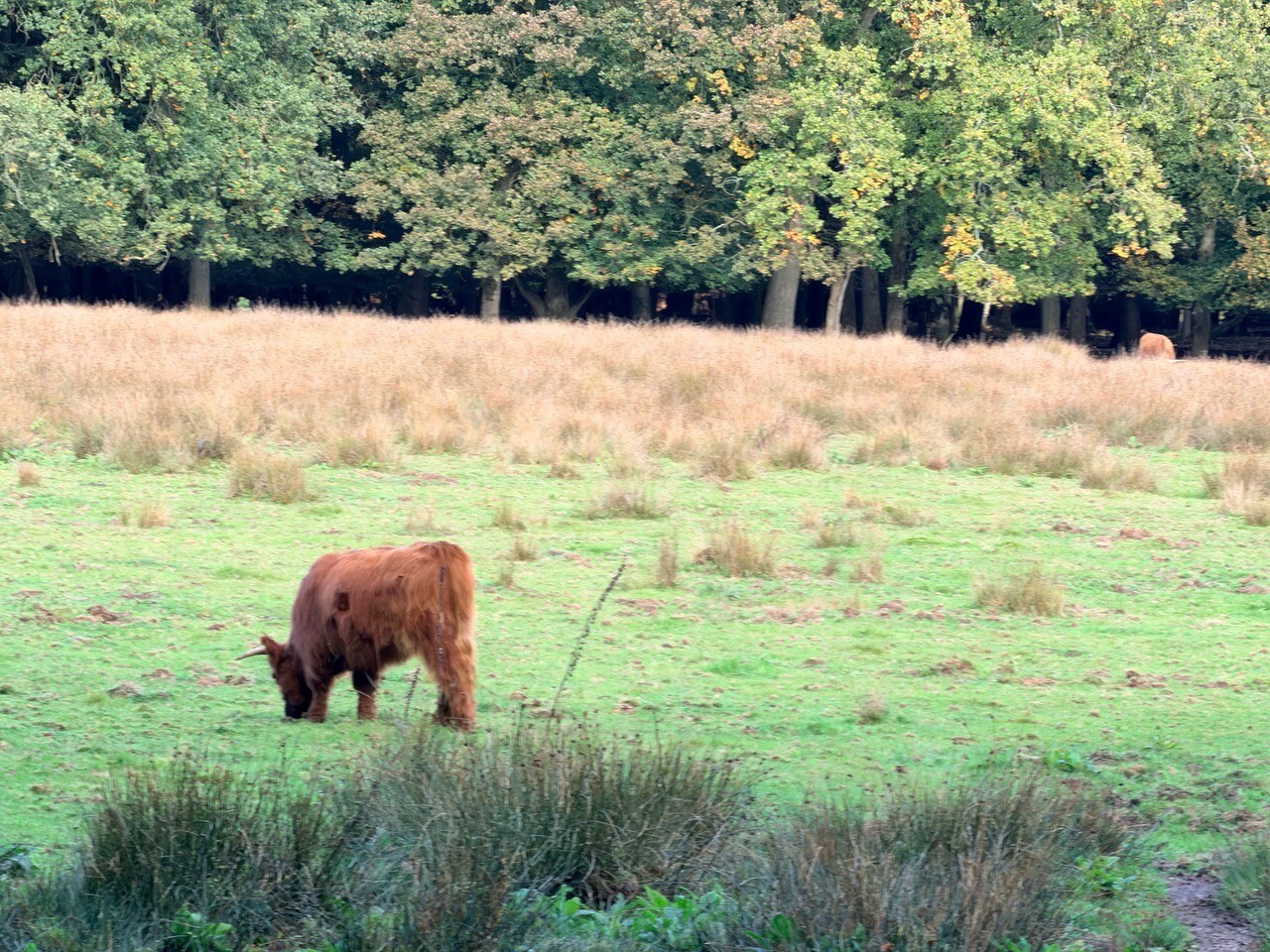 Zevenheuvelenroute Veluwezoom 15 km