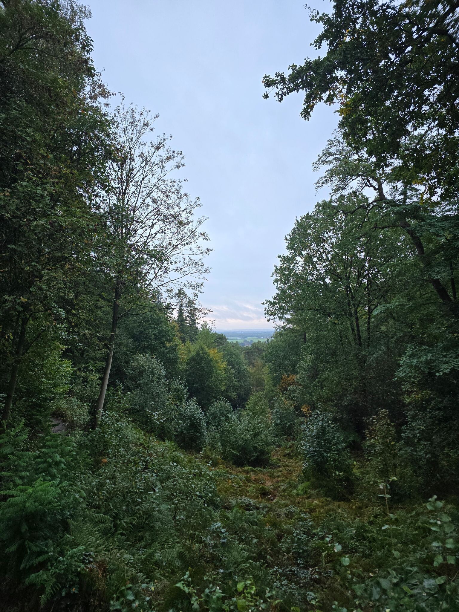 Zevenheuvelen hike / trail 28km