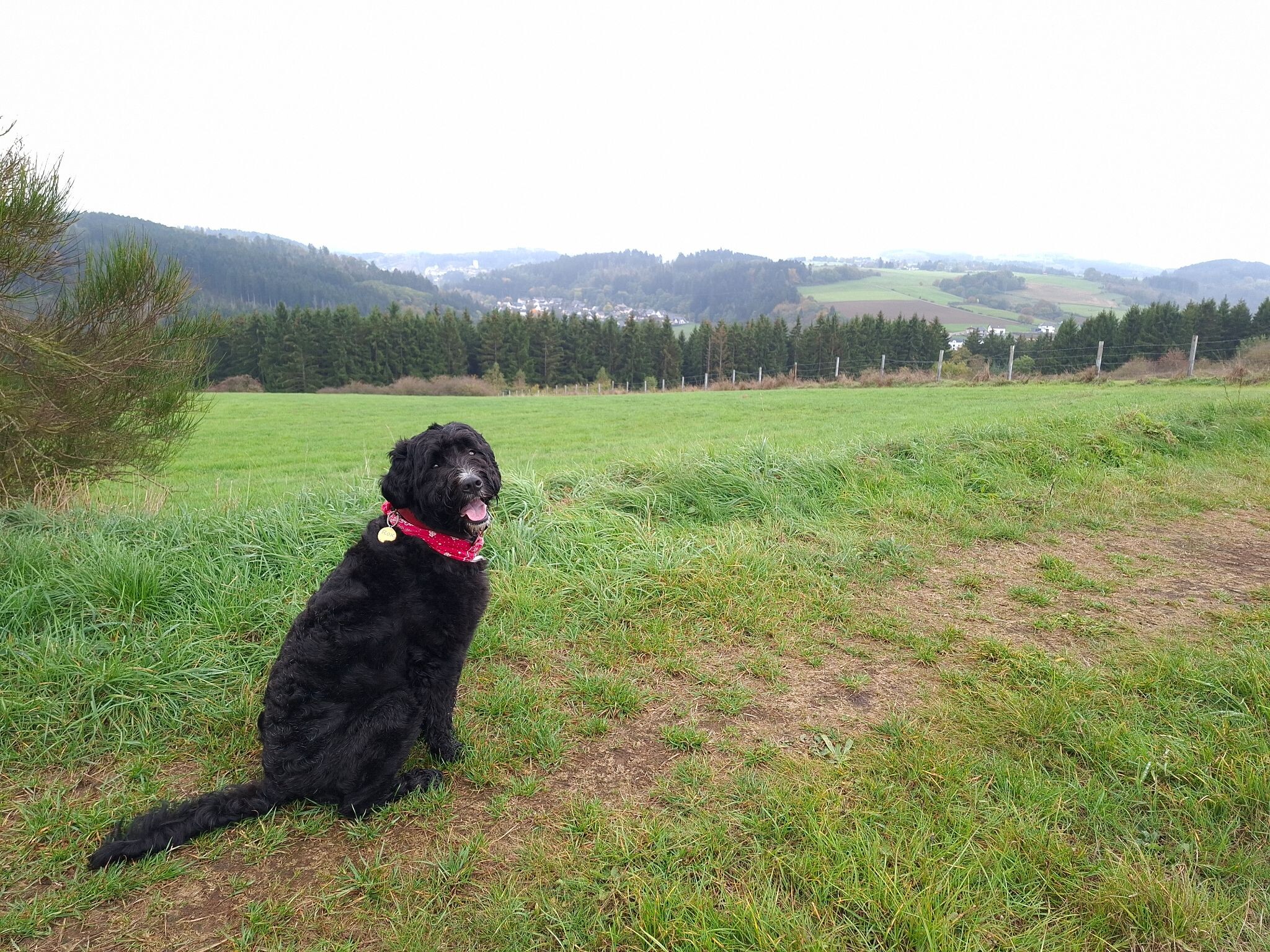 Hellenthal