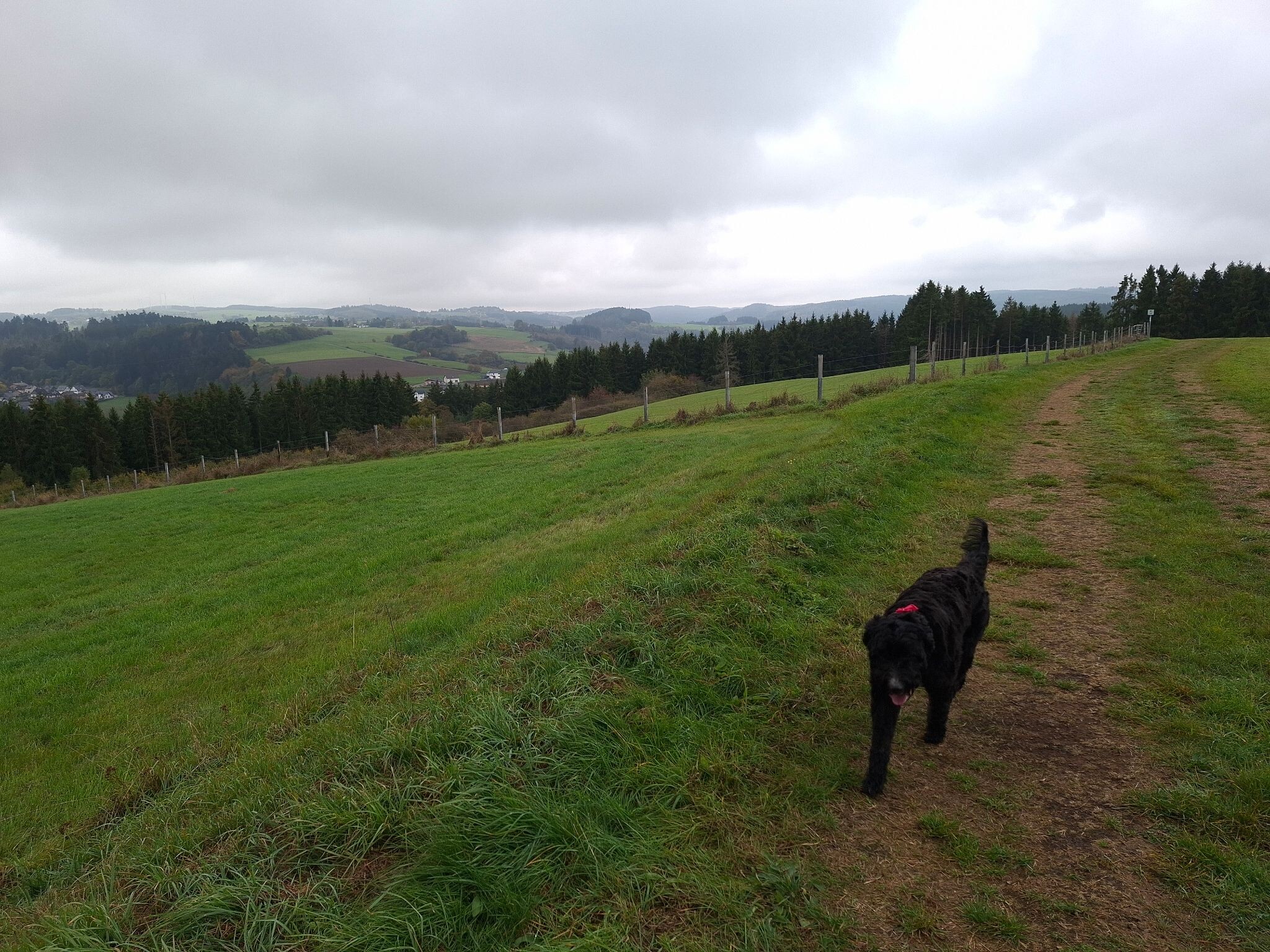 Hellenthal