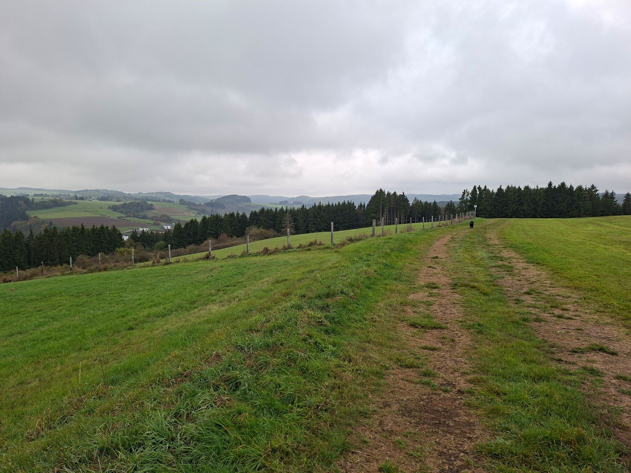Hellenthal