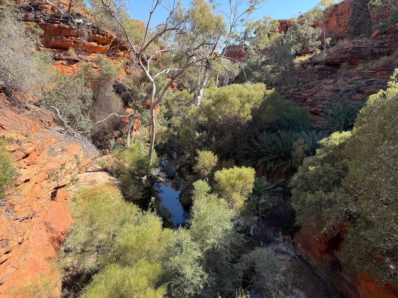 Kings Canyon Rim Walk