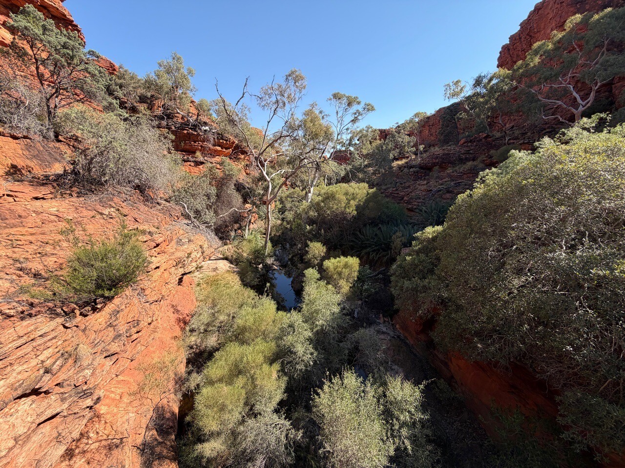 Kings Canyon Rim Walk