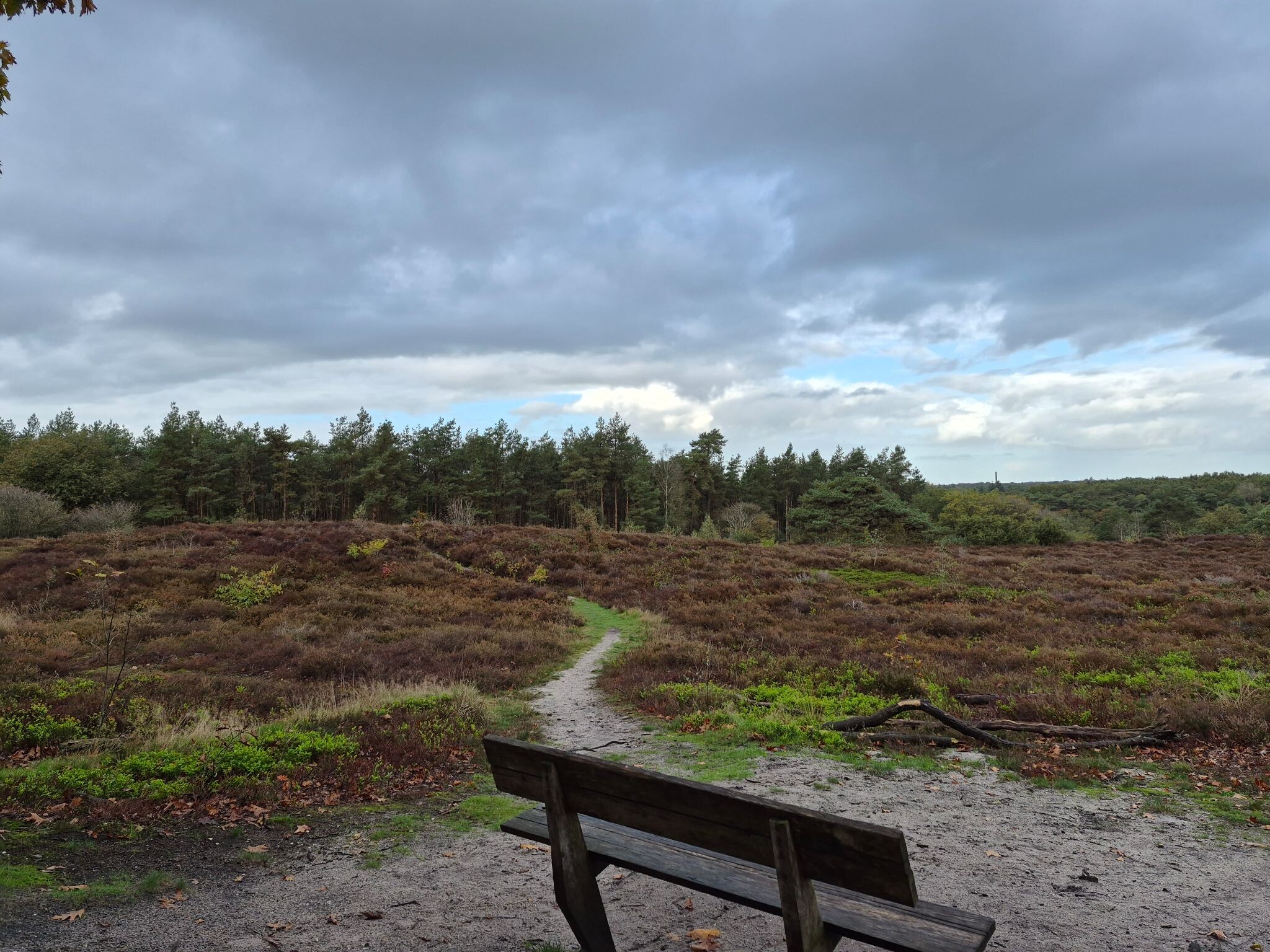 Ommen - Hellendoorn · Pieterpad etappe 10