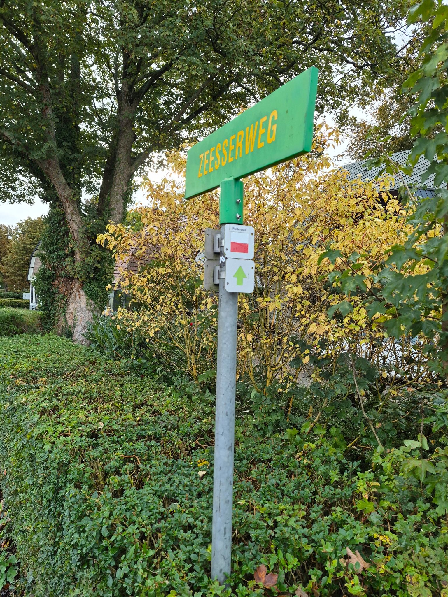 Foto van opname