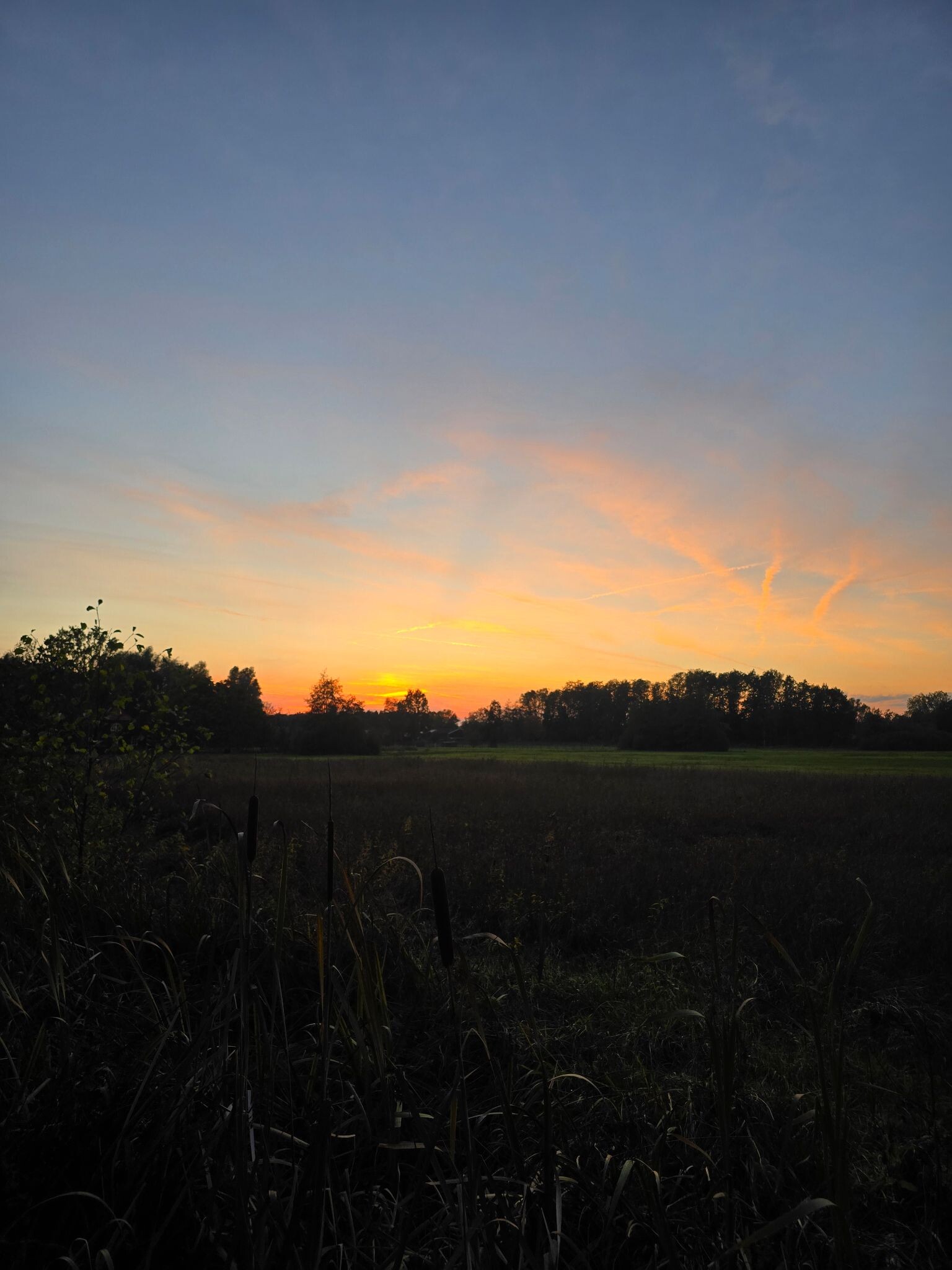 Wild spotten bij de Bruuk in Groesbeek