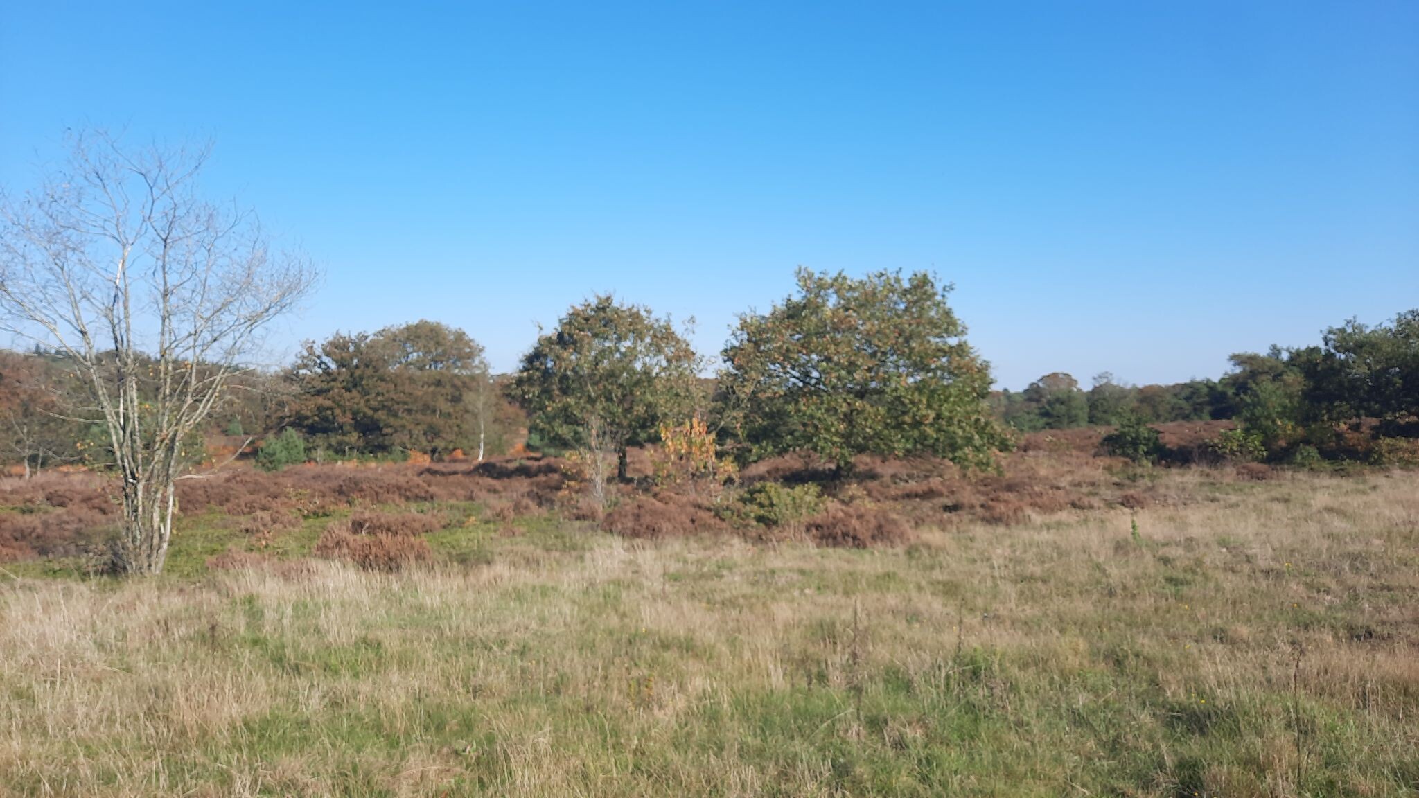 Nijverdal
