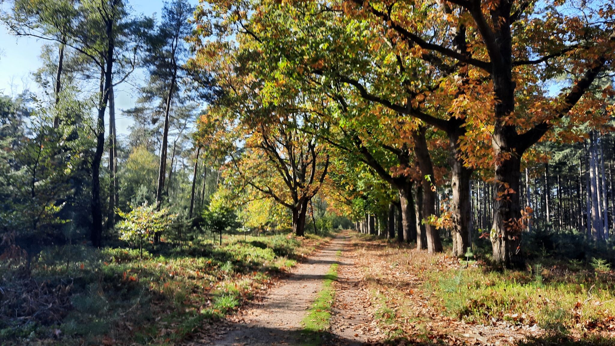 Nijverdal