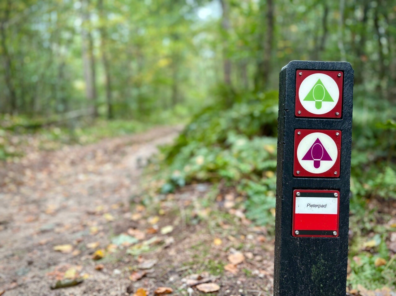Aerdt - Braamt · Wandelroute van A tot Z etappe 10