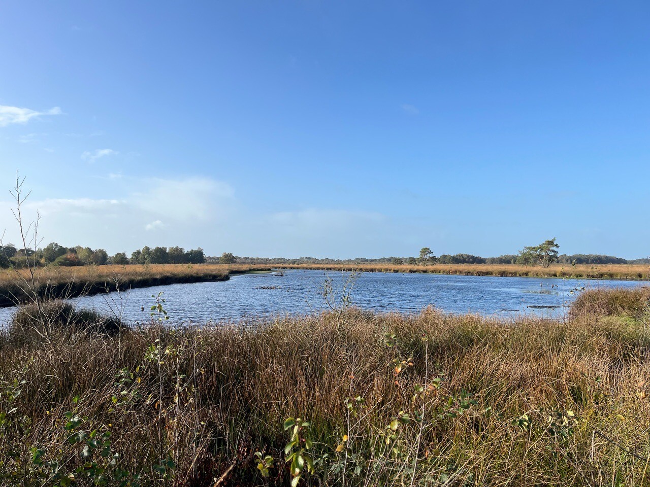 Haaksbergen