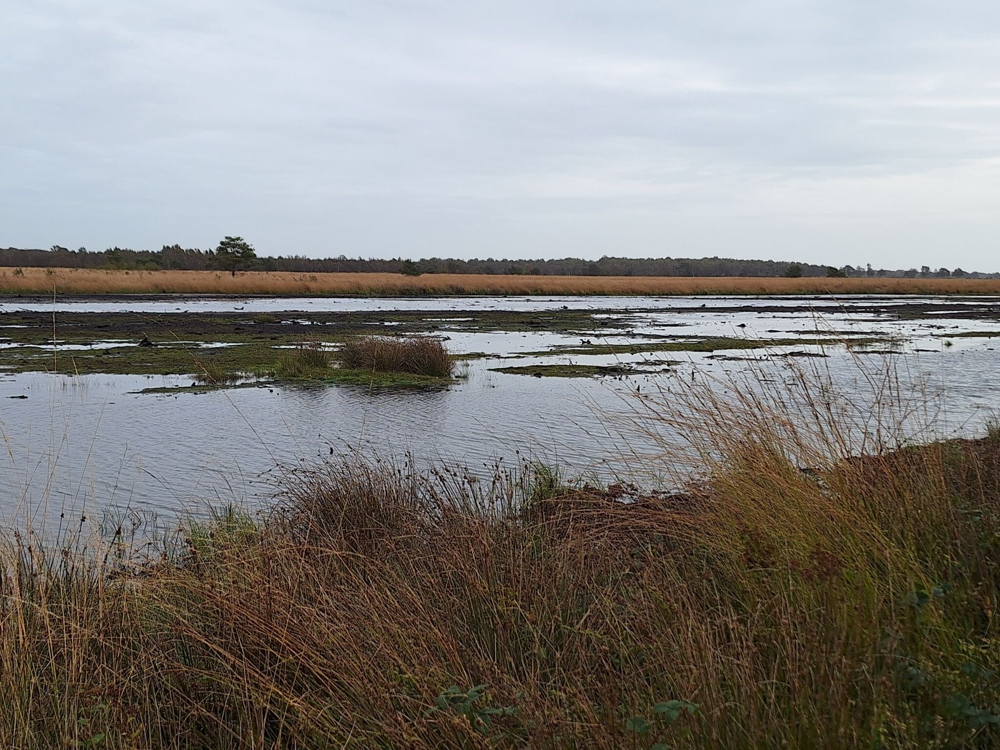 Hardenberg naar Sibculo - "Tussen Zand en Veen" · NederRandpad etappe 7