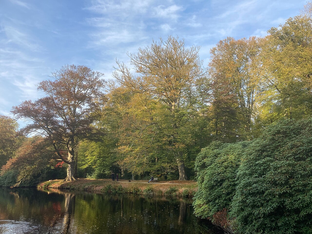 Parkbosroute landgoed De Braak (Drenthe)