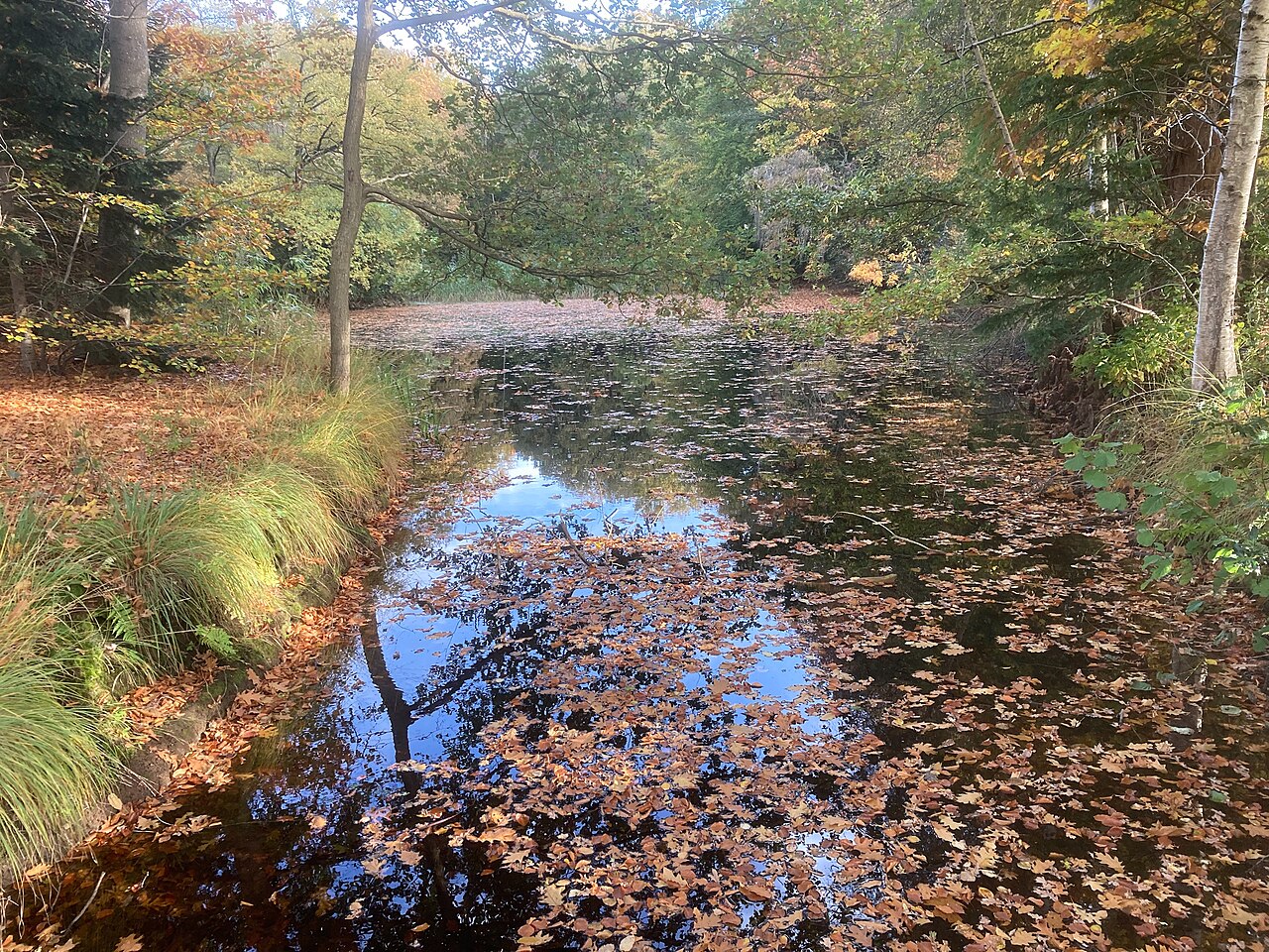 De tien van Tynaarlo: Parels in 't Groen